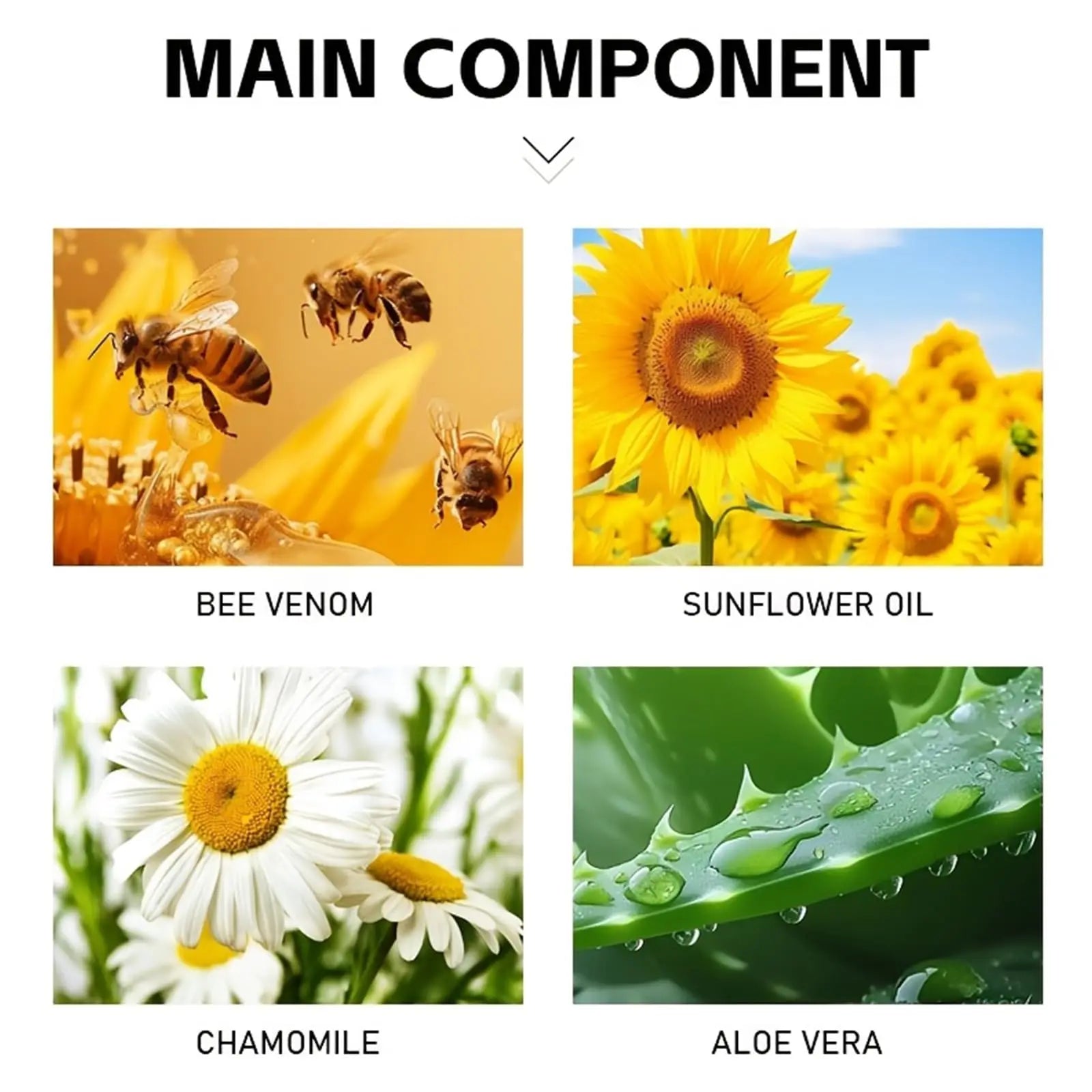 Bee Venom Joint Cream – Advanced Joint Support Cream with Honey & Chamomile, Soothing Formula for Aches & Stiffness in Knees, Hands, Back, Natural Relief Cream for Daily Joint Care (Bee venom) Generic uk supplements
