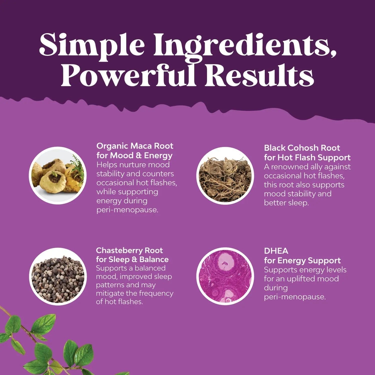Bundle of Perimenopause Supplement with Maca Root Vitex Berry Black Cohosh for Hot Flashes Night Sweats Hormone Balance Natures Craft uk supplements