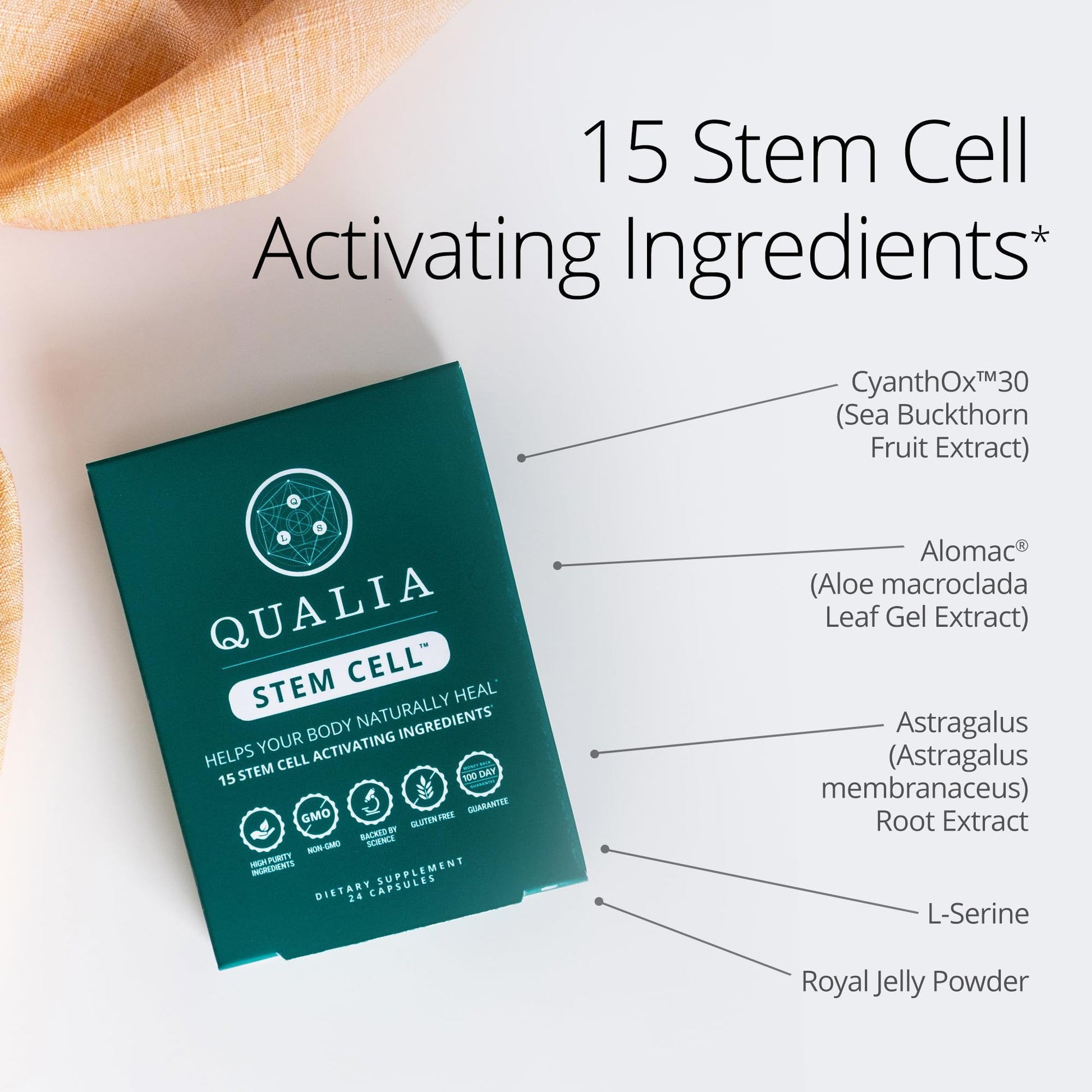 Qualia Stem Cell — Stem Cell Supplement Support with Royal Jelly, Astragalus & Sea Buckthorn | 16 Ingredients | 4 Days a Month | Helps Body Naturally heal* QUALIA LIFE SCIENCES uk supplements