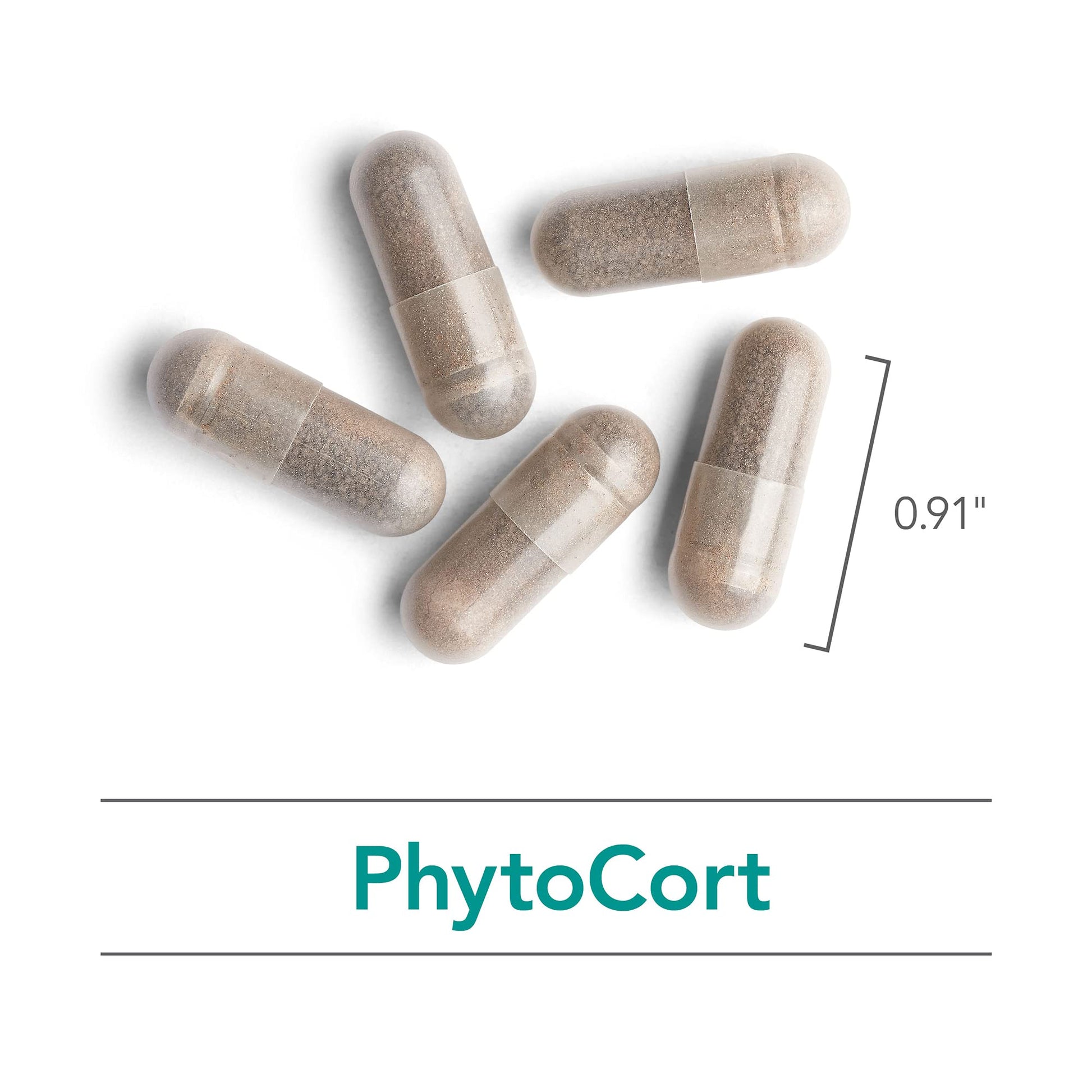 Nutricology PhytoCort Supplement - Respiratory Support, Lung Health, Lung Detox, Lung Cleanse, Healthy Breathing, Herbal Support, Reishi, Licorice, Noni, Vegetarian Capsules - 120 Count Nutricology uk supplements