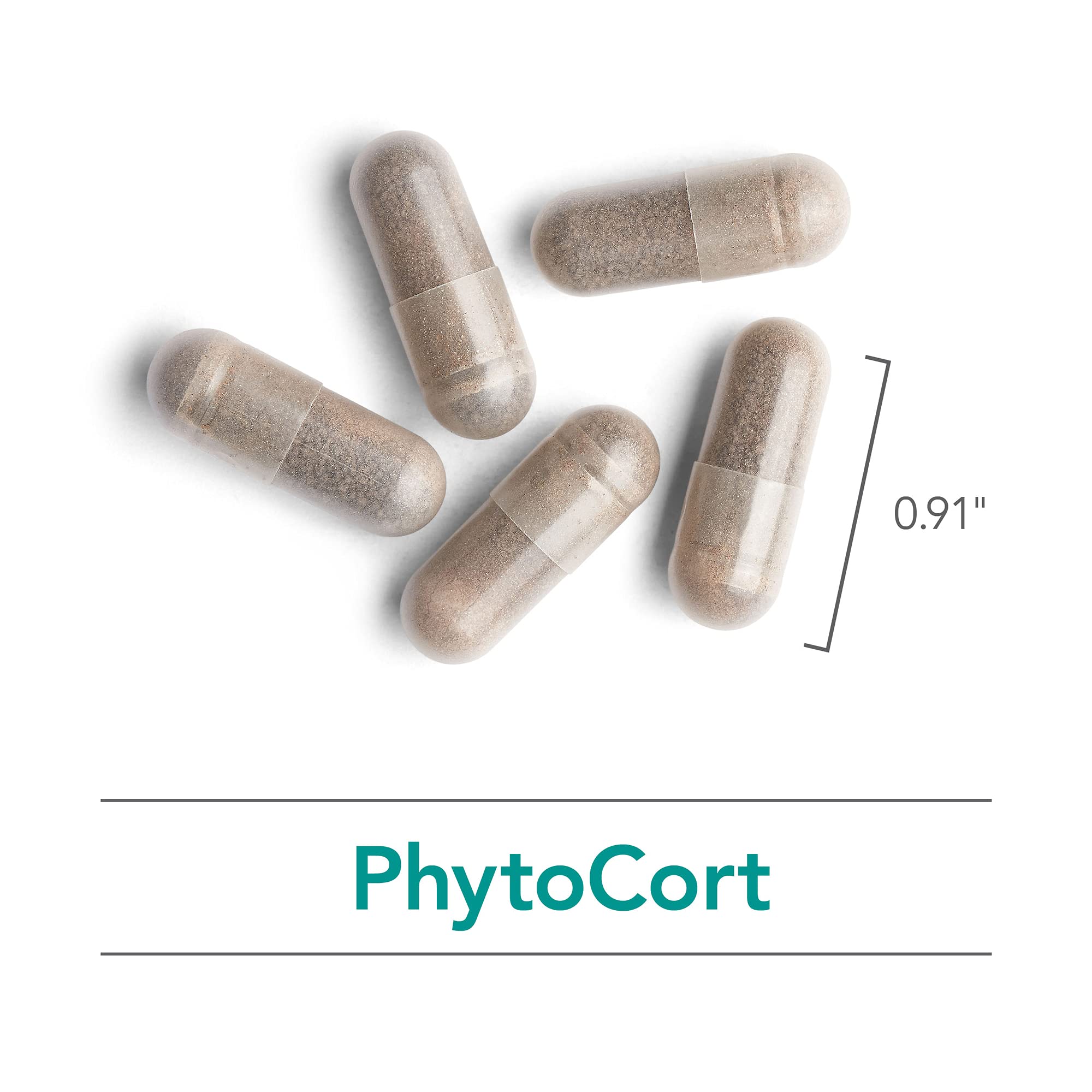 Nutricology PhytoCort Supplement - Respiratory Support, Lung Health, Lung Detox, Lung Cleanse, Healthy Breathing, Herbal Support, Reishi, Licorice, Noni, Vegetarian Capsules - 120 Count Nutricology uk supplements