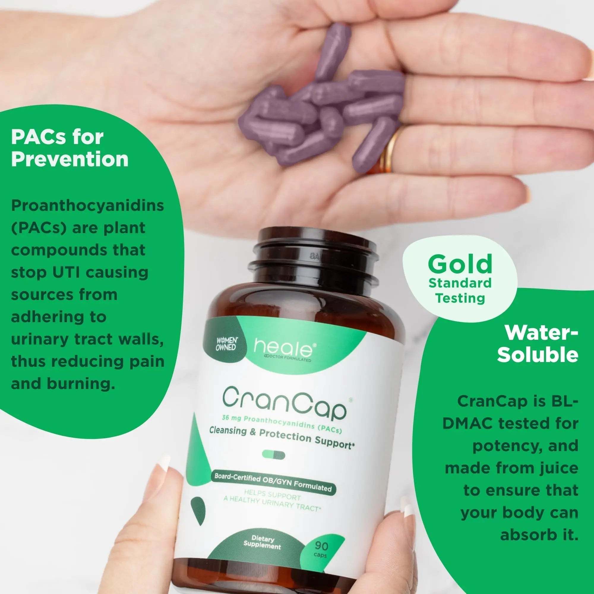 CranCap - Cranberry Pills - Urinary Tract Health Cranberry Supplement - 36mg of Potent PACs - Non GMO, Vegan, Gluten Free - by Heale - 30 Capsules CranCap uk supplements