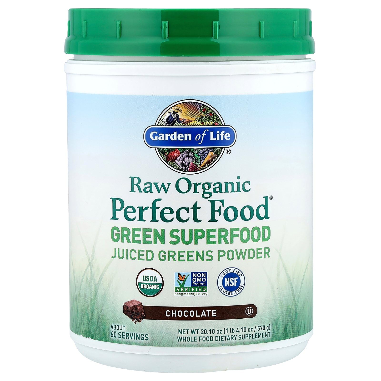 Garden of Life Raw Organic Perfect Food Green Superfood Juiced Greens Powder - Chocolate, 60 Servings, Non-GMO, Gluten Free, Vegan Whole Food Dietary Supplement Plus Probiotics, Enzymes Garden of Life uk supplements