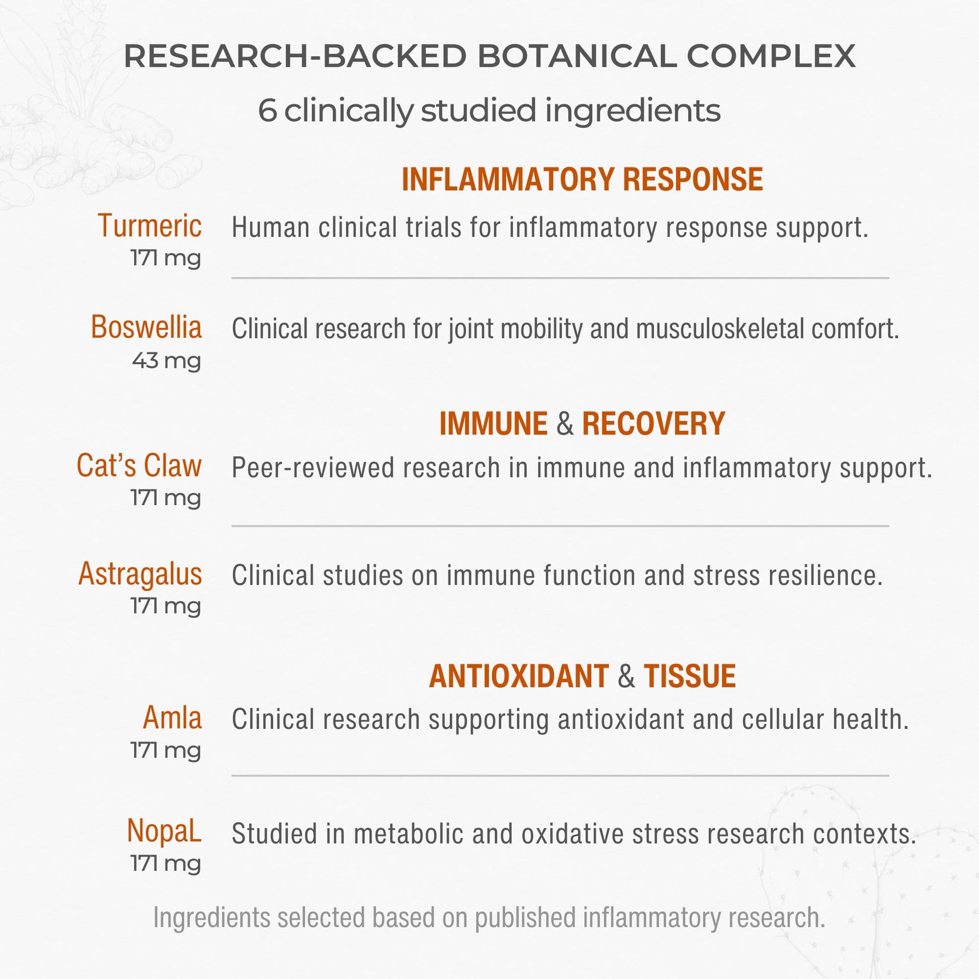 Muscle & Joint Support Supplement – Botanical Formula for Healthy Inflammatory Response | 6 Research-Backed Botanicals | Organic Turmeric | 60 Capsules | Sana Herbal Sana Herbal Sciences uk supplements