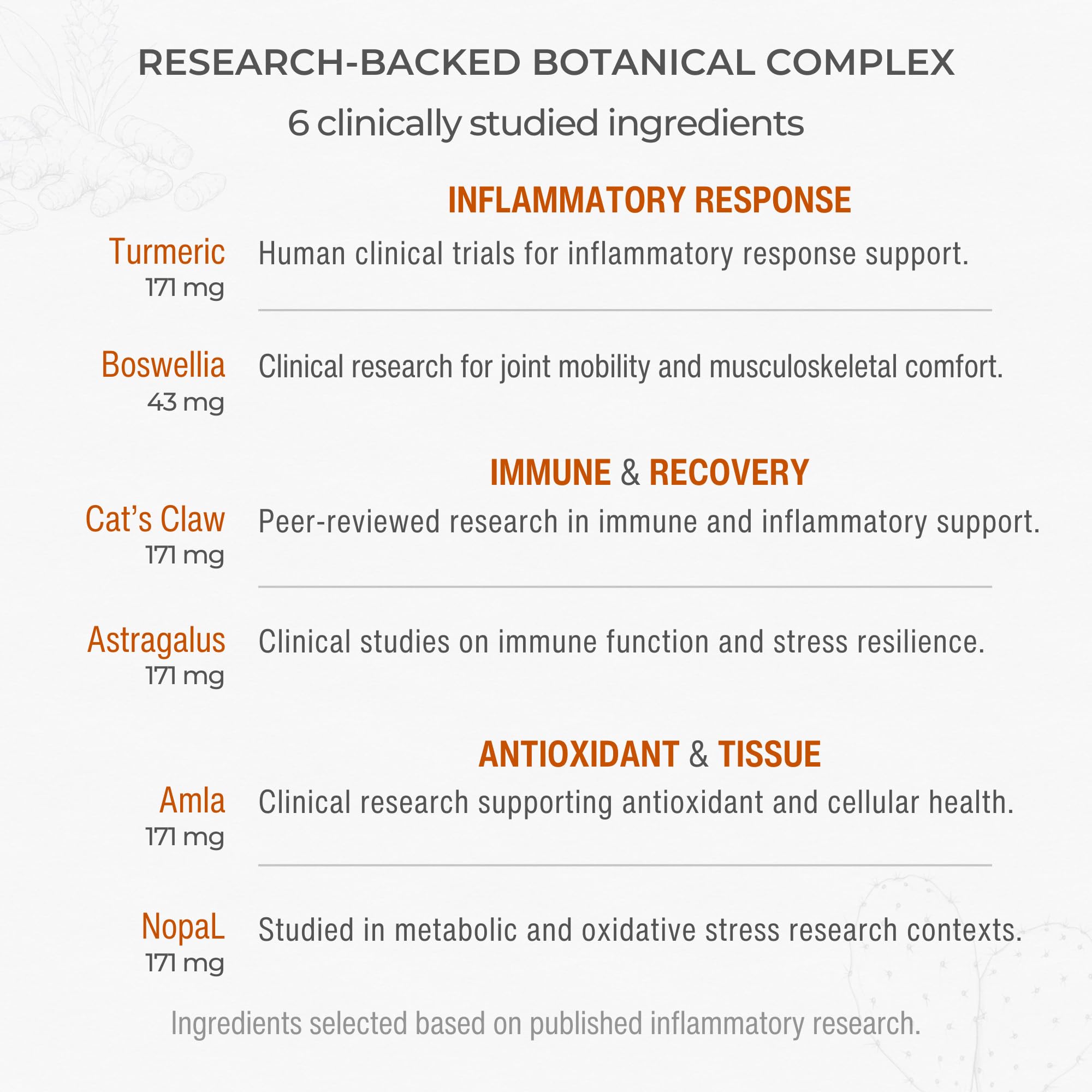 Muscle & Joint Support Supplement – Botanical Formula for Healthy Inflammatory Response | 6 Research-Backed Botanicals | Organic Turmeric | 60 Capsules | Sana Herbal Sana Herbal Sciences uk supplements