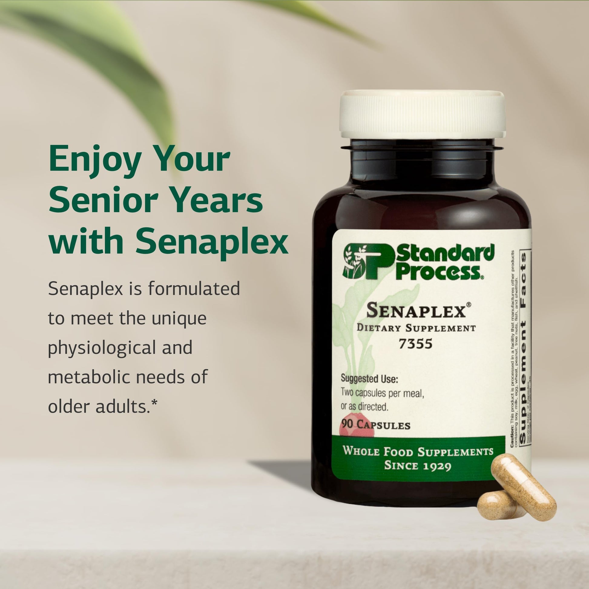 Standard Process Senaplex - Nervous System Support with Niacin, Vitamin B12 & B6 - Supports Brain Health & Cellular Health - Offers Antioxidant Activity - Non-Dairy - 90 Capsules (45 Servings) Standard Process Inc. uk supplements