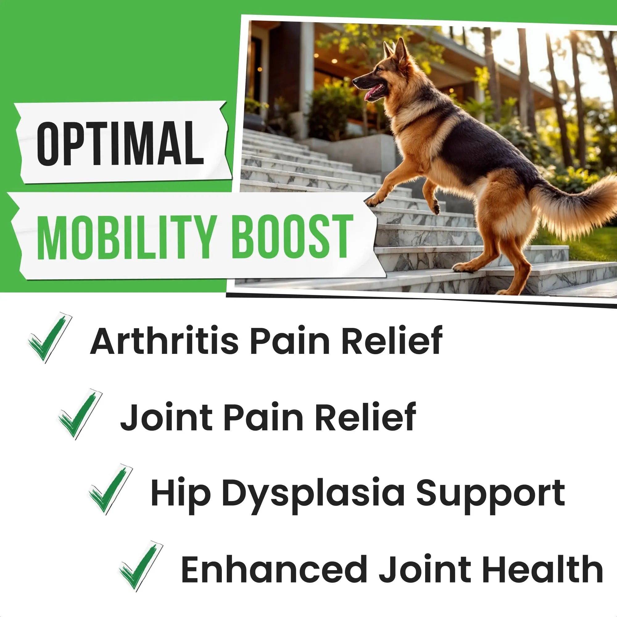 Pawsential Hemp Treats - Dog Joint Supplement - Mobility Support Chews w/Glucosamine Chondroitin, Turmeric, MSM - Hip & Joint Chews - Joint Pain Relief Treats - 120Ct Pawsential uk supplements