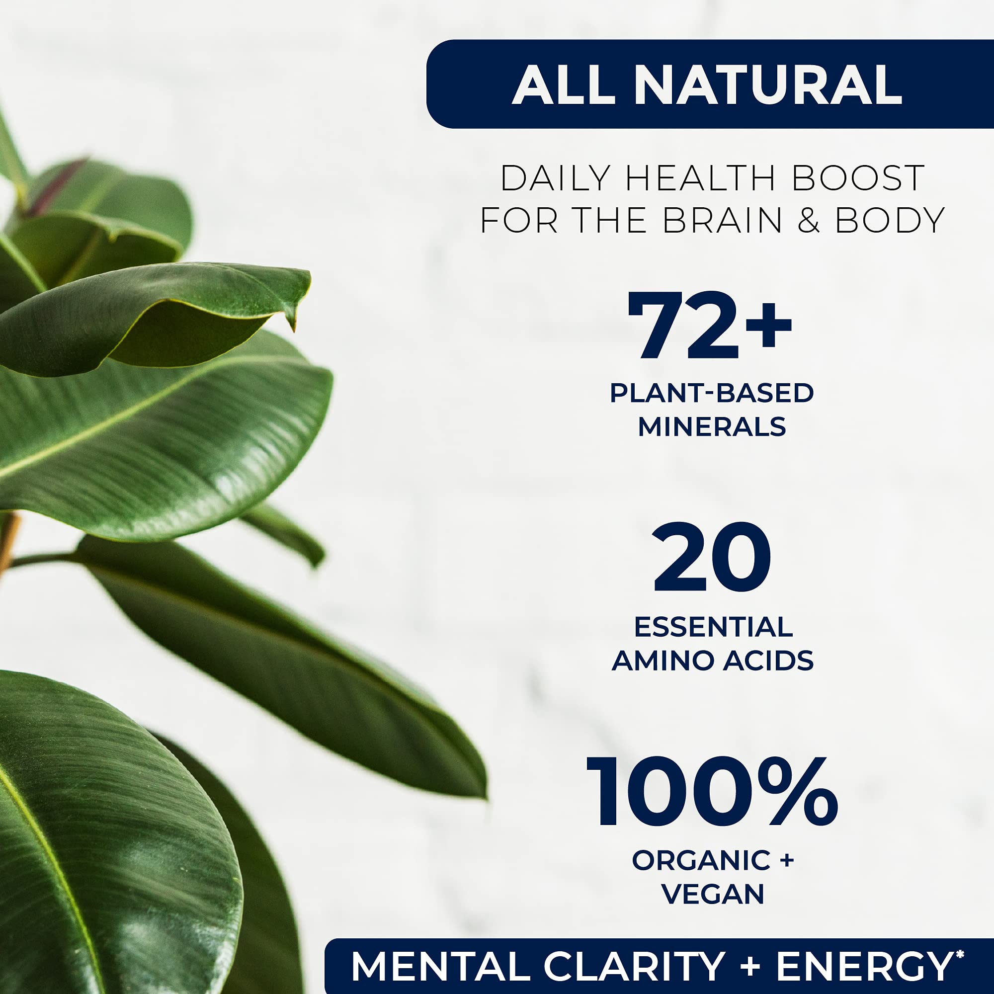 Miracles of Health Liquid Chelated Minerals - Organic Humic Fulvic Mineral Blend - 72+ Plant-Based Minerals, 20 Essential Amino Acids - 100% Natural - 1 Month Supply, 32 fl. oz Miracles of Health uk supplements