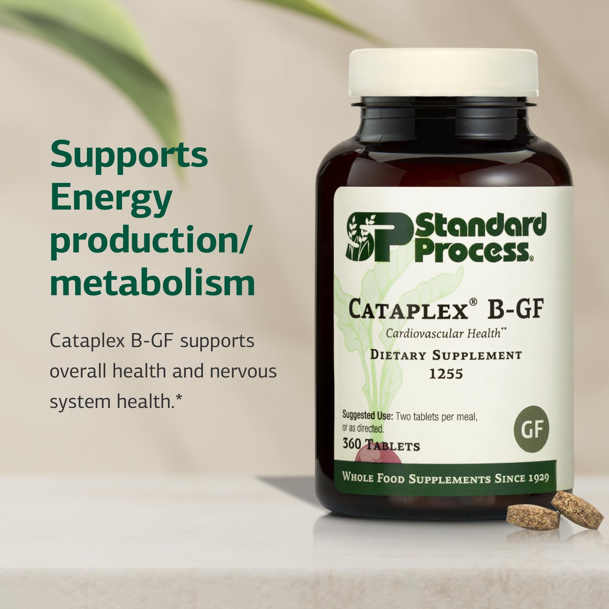 Standard Process Cataplex B-GF - Supports Nervous System Health - B Vitamins for Energy & Heart Support - Aids Energy During Physical Activity - Gluten-Free, Non-Soy & Non-Dairy - 360 Tablets Standard Process Inc. uk supplements