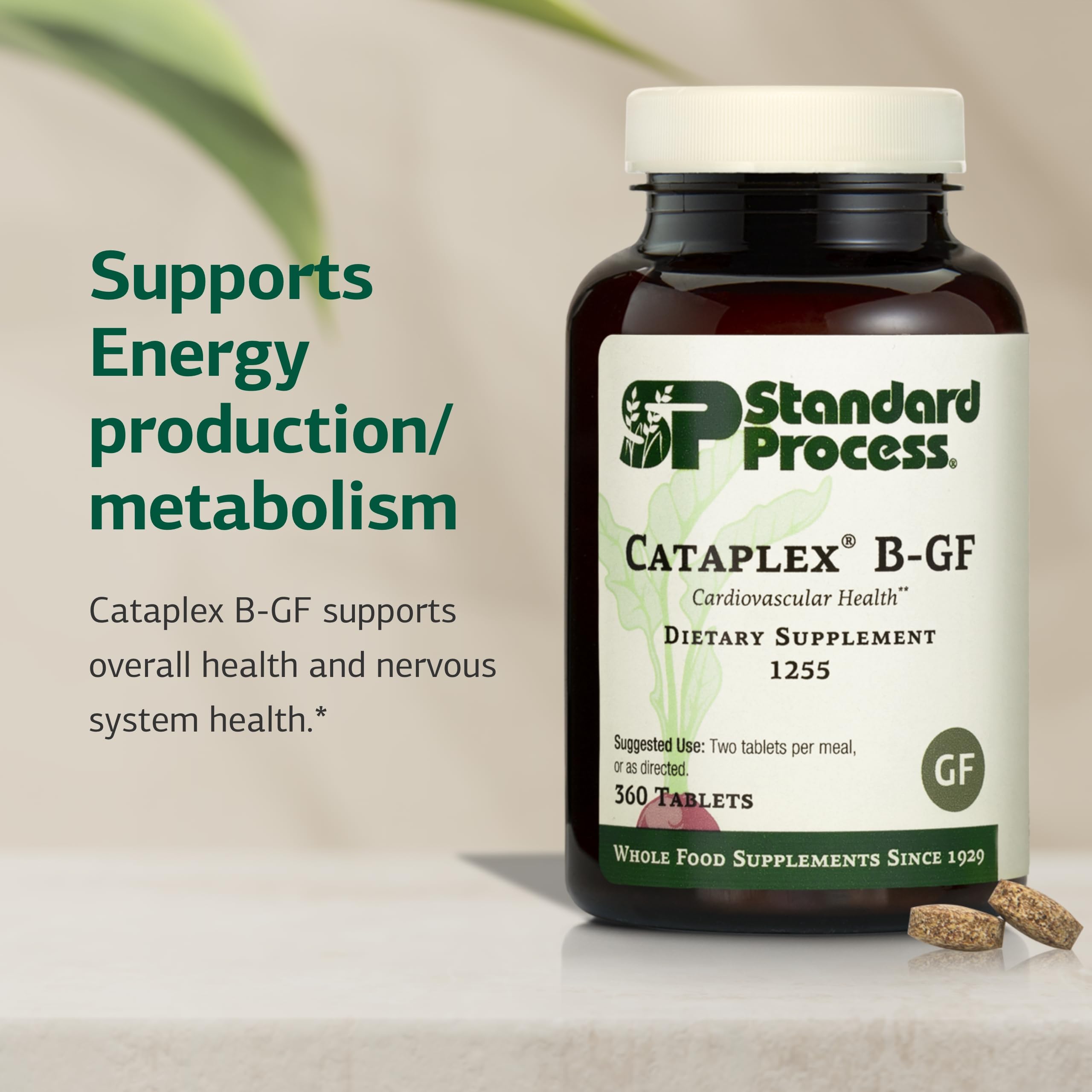 Standard Process Cataplex B-GF - Supports Nervous System Health - B Vitamins for Energy & Heart Support - Aids Energy During Physical Activity - Gluten-Free, Non-Soy & Non-Dairy - 360 Tablets Standard Process Inc. uk supplements