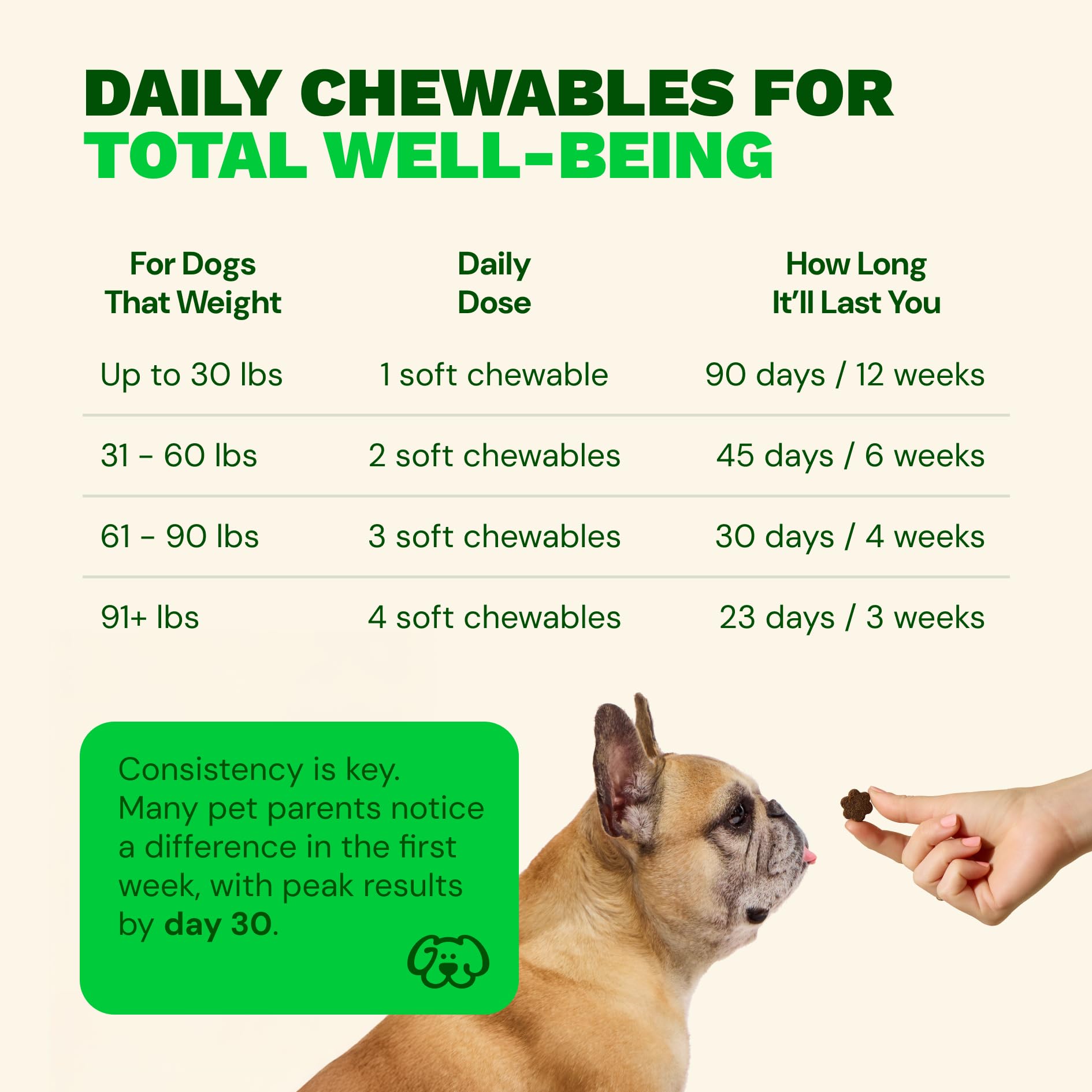 Get Joy Digestion Chews, Gut Health Supplement for Dogs, Vet Recommended Soft Daily Digestive Health & Immune Support with Prebiotics, Probiotics & Postbiotics, Made in USA, 90 Count Get Joy uk supplements