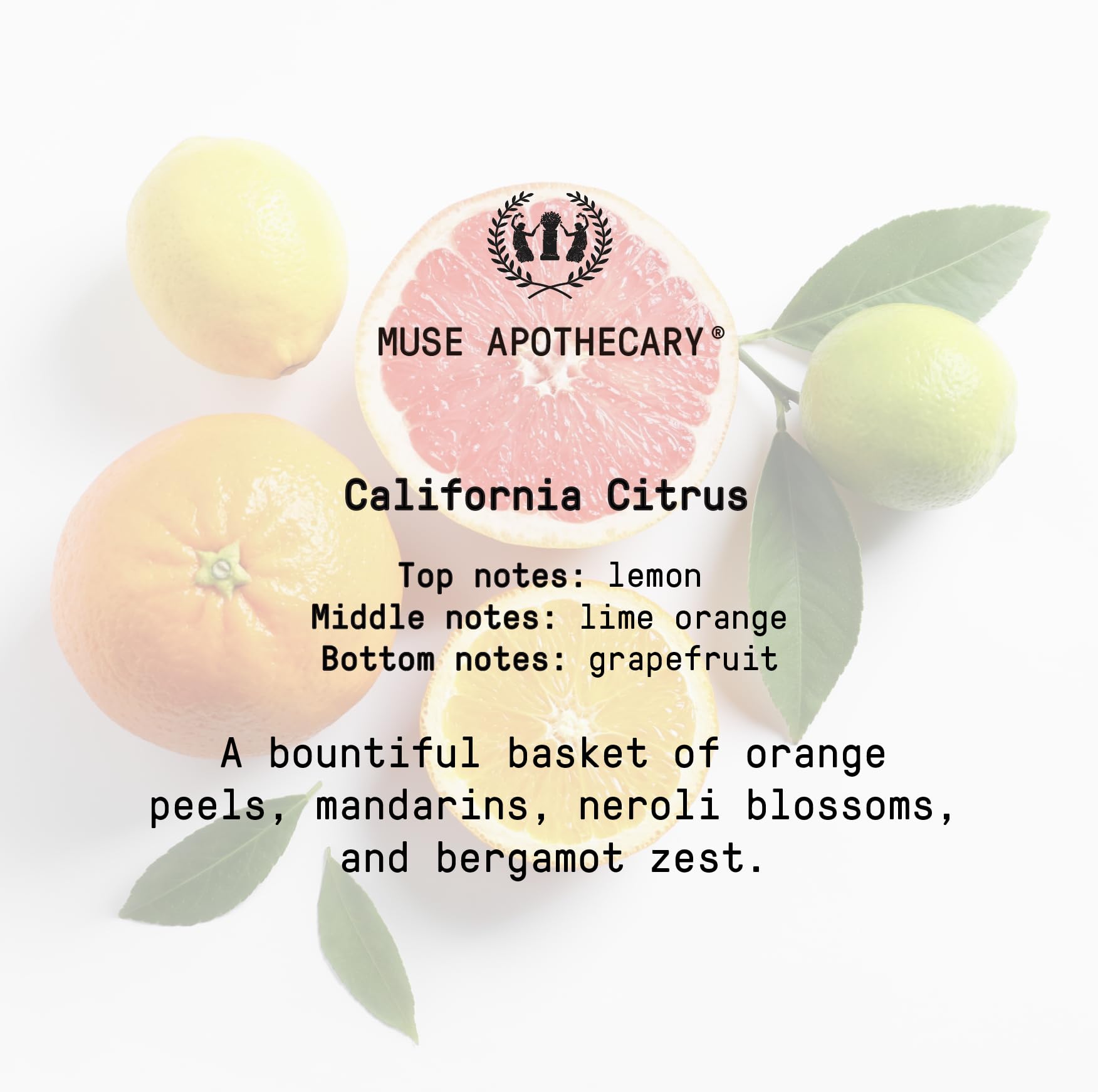 Muse Bath Apothecary Room Ritual - Aromatic and Relaxing Room Mist, 8 oz, Infused Muse Apothecary uk supplements