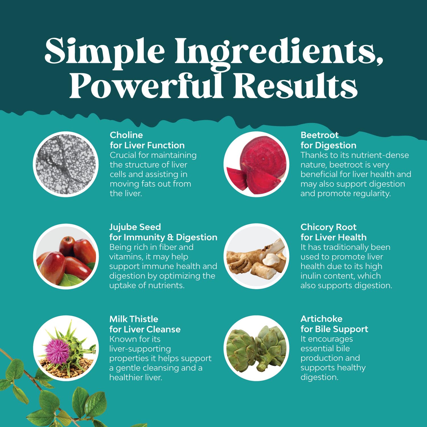 Liver Cleanse Detox & Repair Formula - Herbal Liver Support Supplement Natures Craft uk supplements