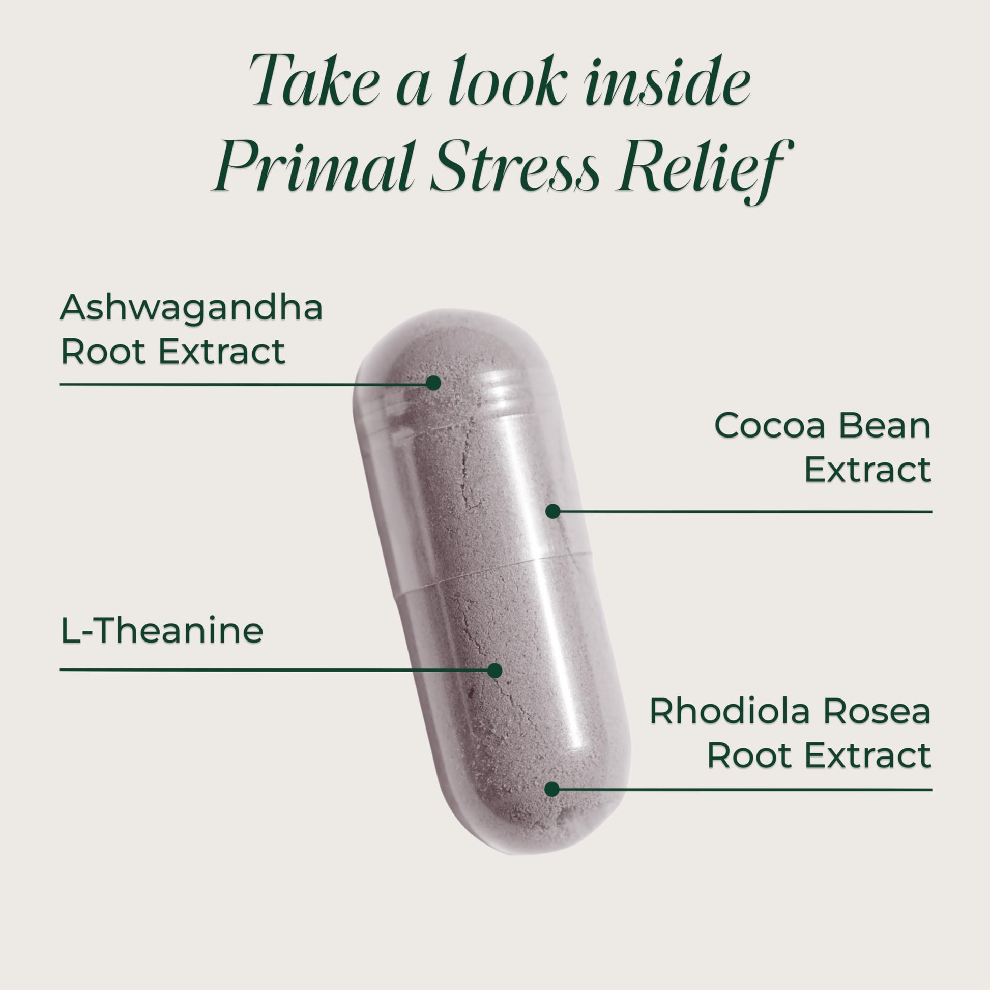 Primal Harvest Stress Relief Supplement for Women and Men Pure Ashwagandha Root Extract, L-Theanine Supplements, 30 Capsules Primal Harvest uk supplements