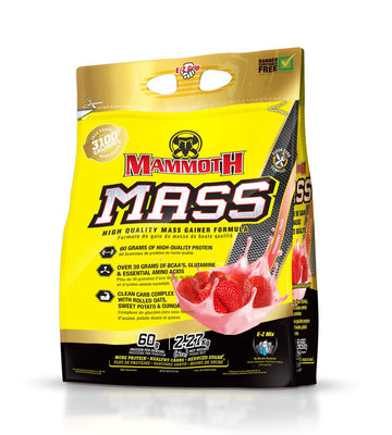 Inter-Active Nutrition Mammoth Mass Supplement, 2.27kg Strawberry Mammoth uk supplements
