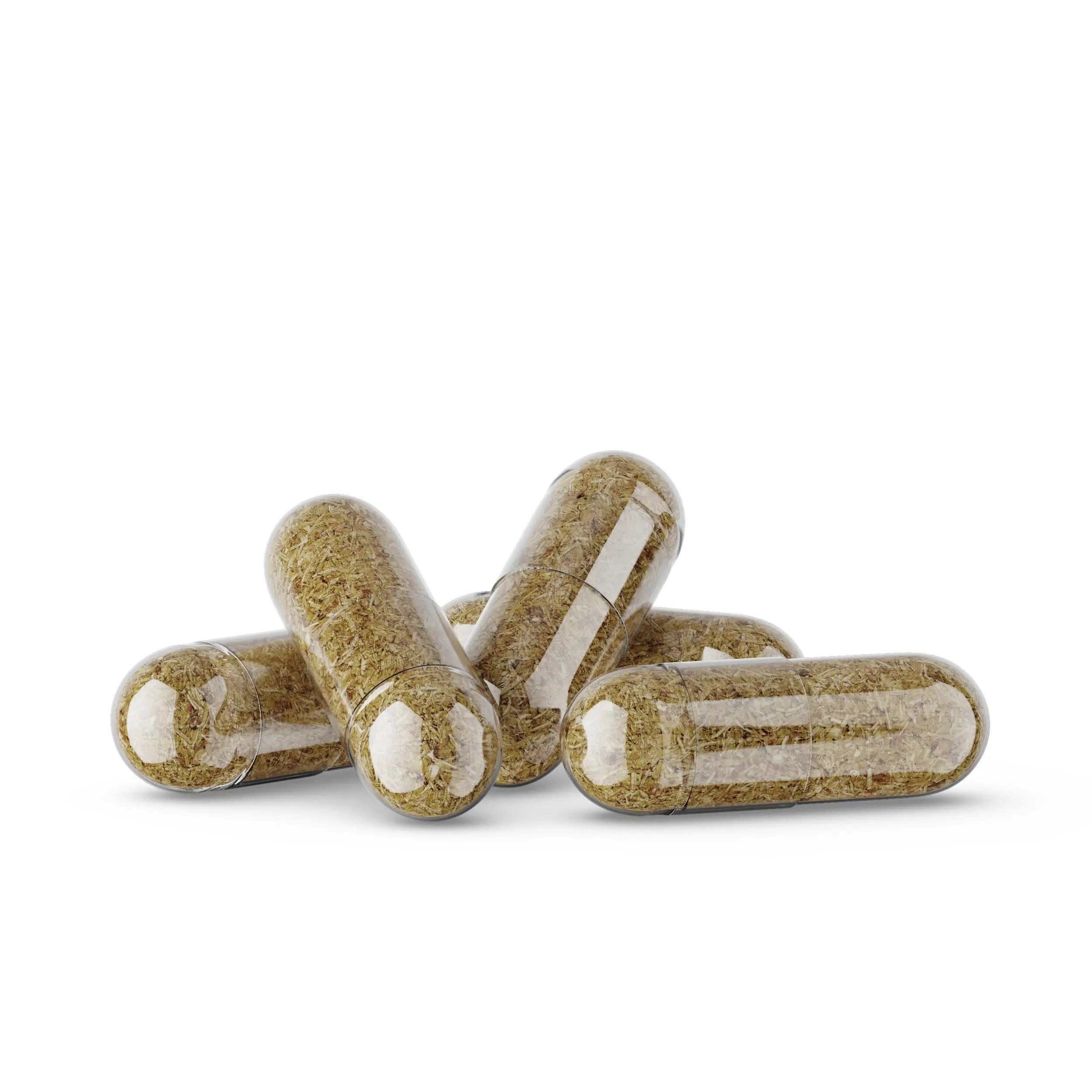Germa Chanca Piedra Supplement – 500mg Phyllanthus Niruri – Traditional Stone Breaker Herb for Urinary & Kidney Support – Rainforest Botanical – 100% Natural Vegan Capsules, 100 Count Germa uk supplements