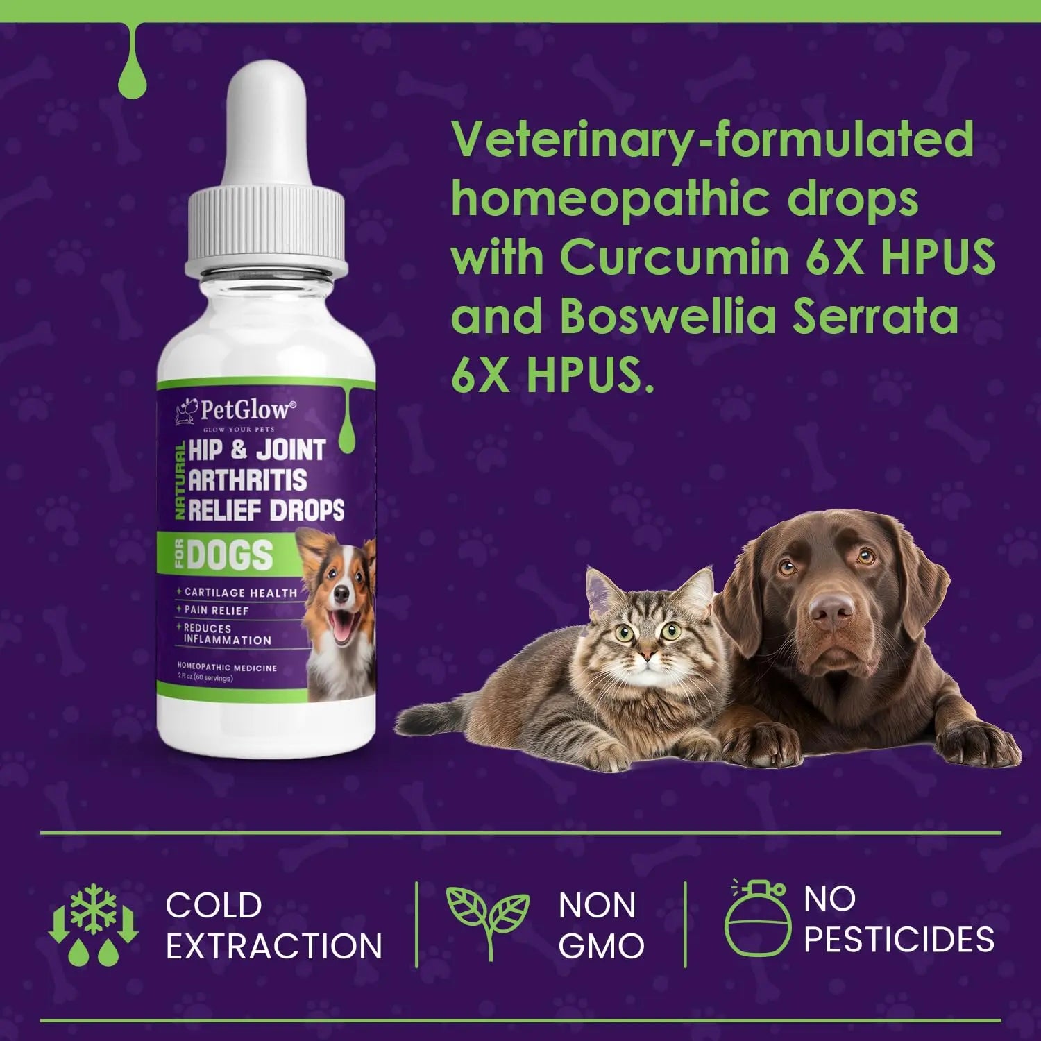 Petglow® Natural Hip & Joint Arthritis Relief Drops with Curcumin & Boswellia, Homeopathic Anti-Inflammatory Formula for Dogs, Cats & Horses, Supports Flexibility, Comfort & Mobility Naturally Petglow uk supplements