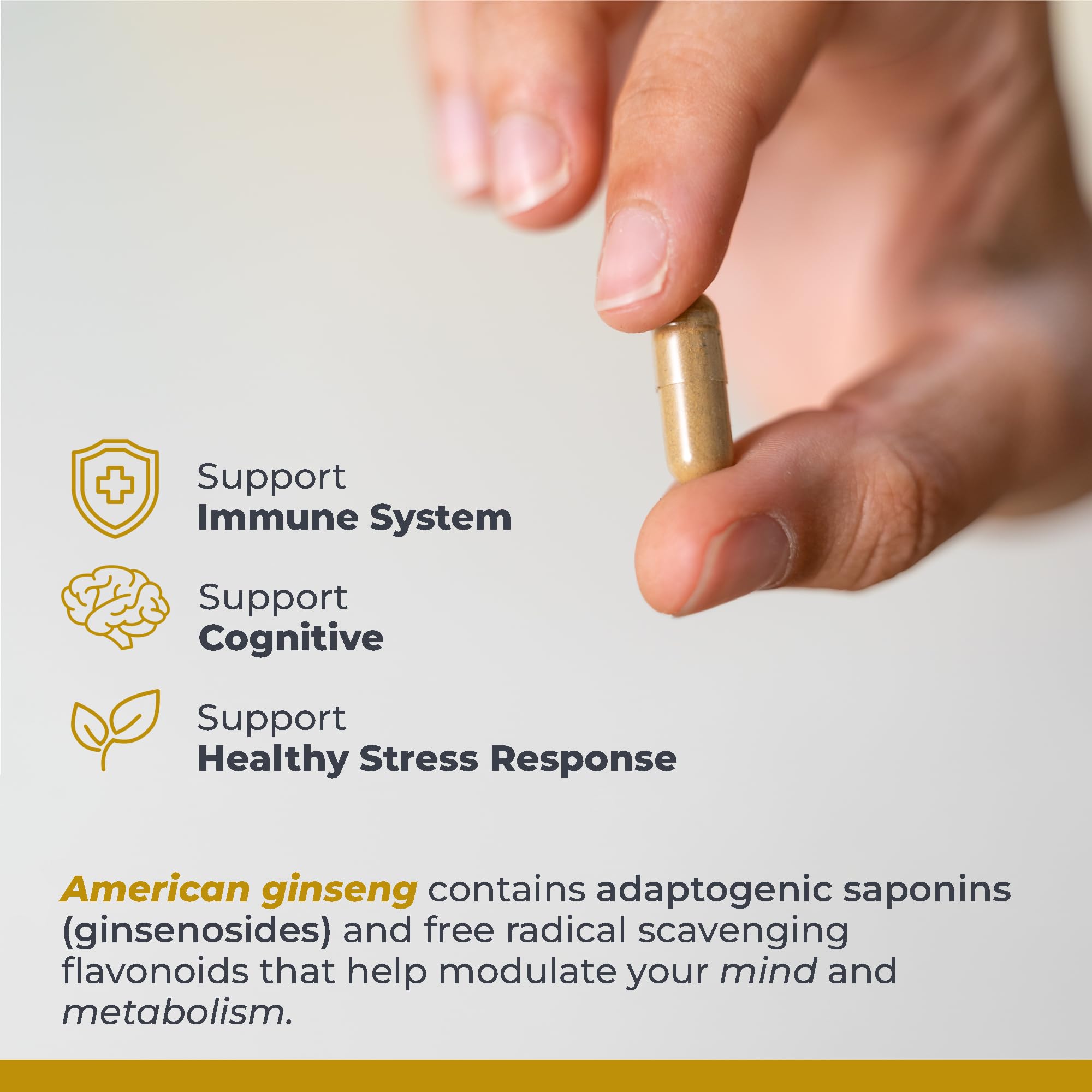 Premier Research Labs American Ginseng Supplement - American Ginseng Capsules, Herbal Ginseng Root Pills, North American Ginseng Herb Extract, Calming Energy Supplement - 60 Plant-Based Capsules Premier Research Labs uk supplements