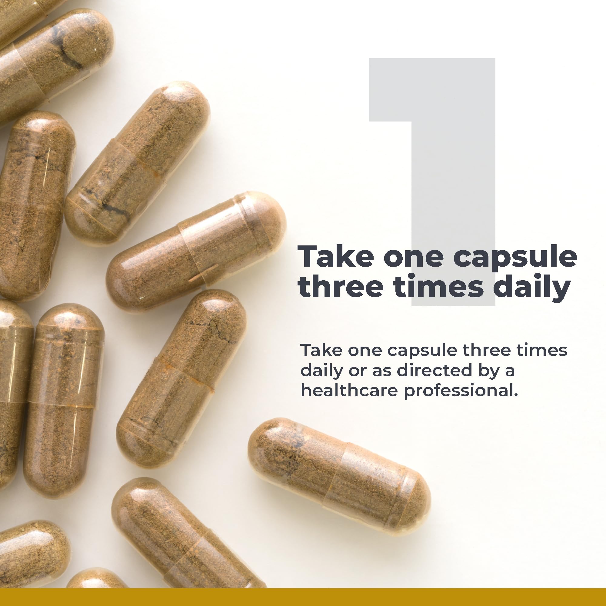 Premier Research Labs RenaVen - Premier Kidney Support for Kidney Cleanse Detox and Repair | Improve Kidney Function and Urinary Support with Fermented Cordyceps - 60 Plant-Source Capsules Premier Research Labs uk supplements