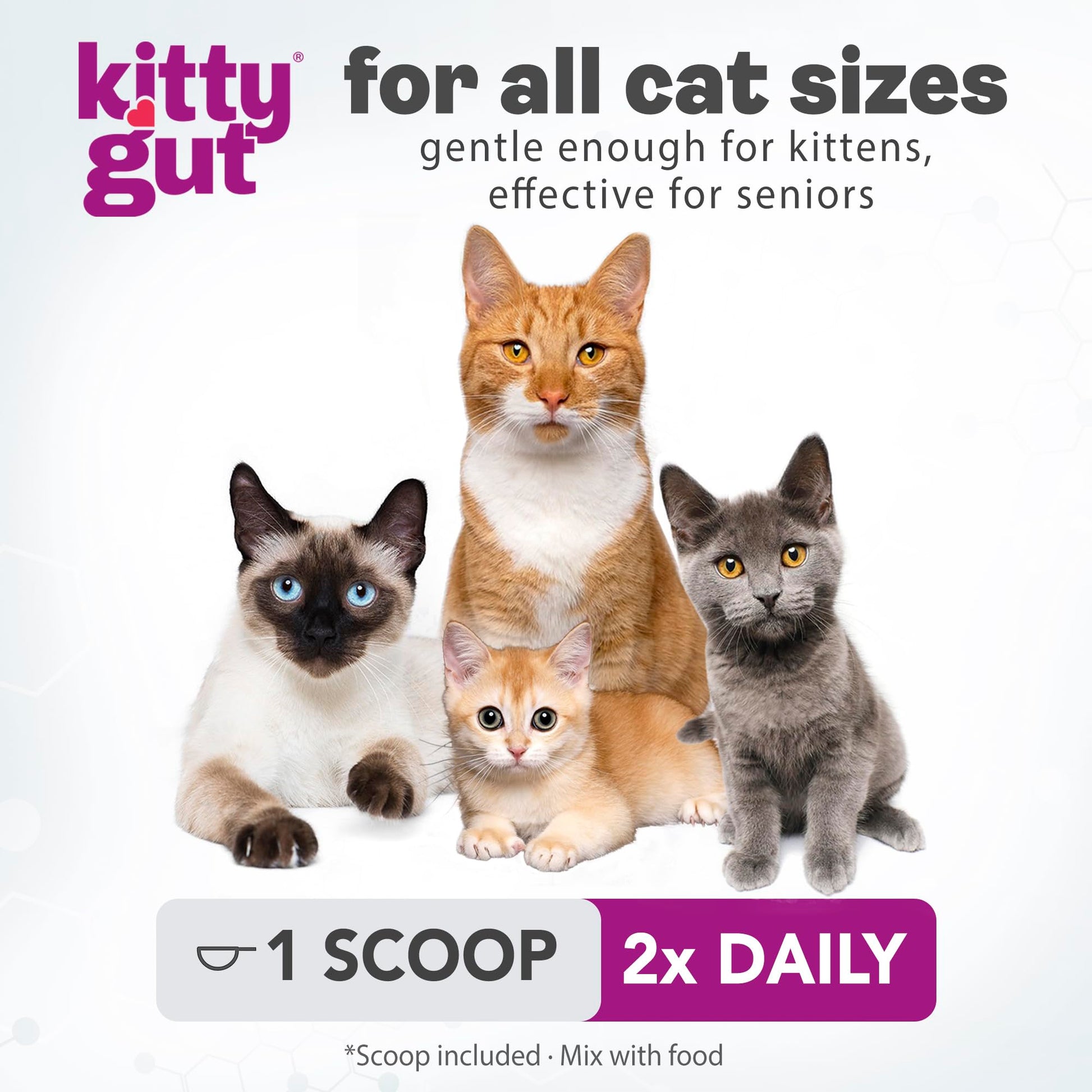 KittyGut 3-in-1 Organic Cat Probiotics & Postbiotic Supplement Powder- Made in USA-Probiotics for Cats Promote Gut Health and Cat Digestive Support, Diarrhea and Vomiting (60g) MUTTGUT uk supplements