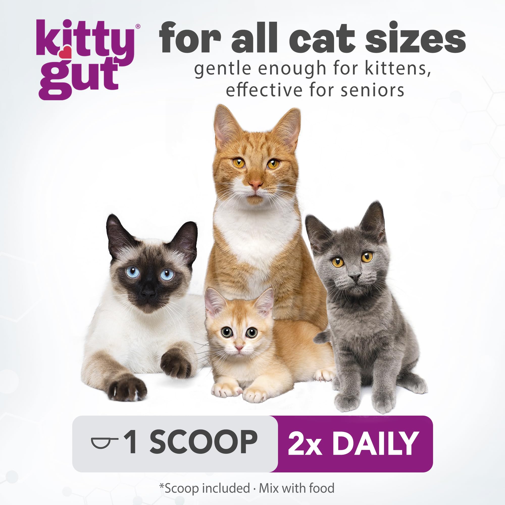 KittyGut 3-in-1 Organic Cat Probiotics & Postbiotic Supplement Powder- Made in USA-Probiotics for Cats Promote Gut Health and Cat Digestive Support, Diarrhea and Vomiting (60g) MUTTGUT uk supplements