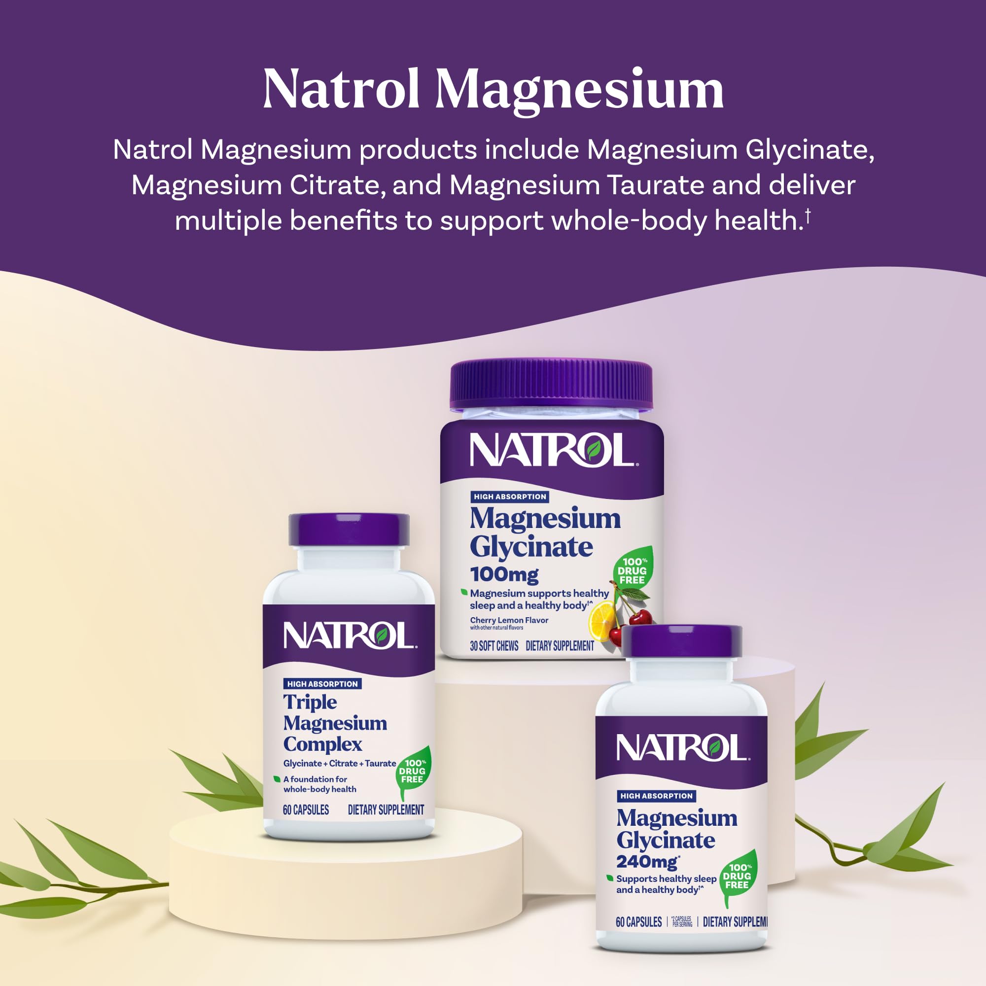 Natrol Triple Magnesium Complex Supplement, Glycinate, Citrate & Taurate 200mg High Absorption, Support Whole Body Wellness, 60 Capsules Natrol uk supplements