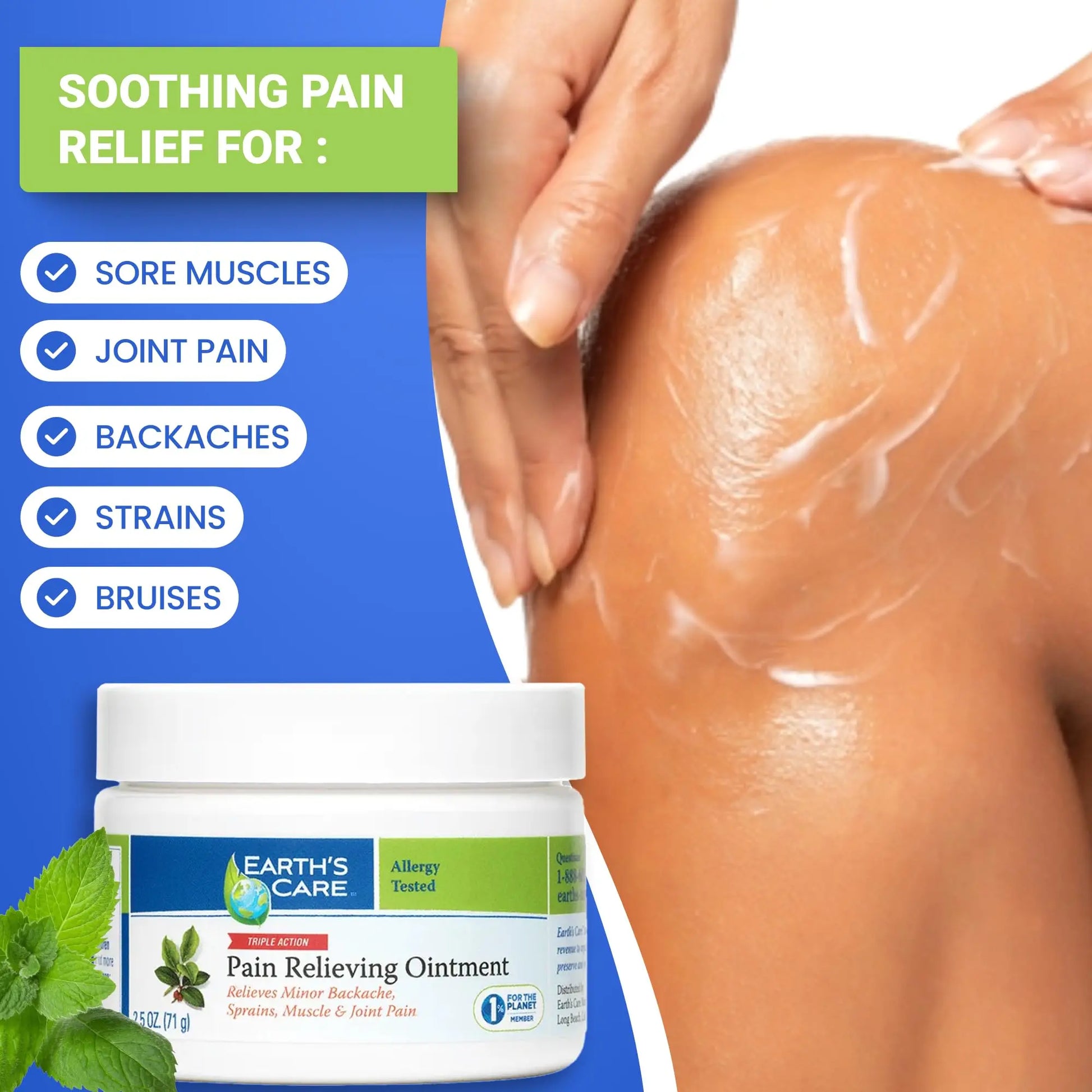 Earth's Care Triple Action Pain Relieving Ointment, No Parabens, Colors or Fragrances, Allergy-Tested 2.5 OZ. (2 Jars) Earth's Care uk supplements