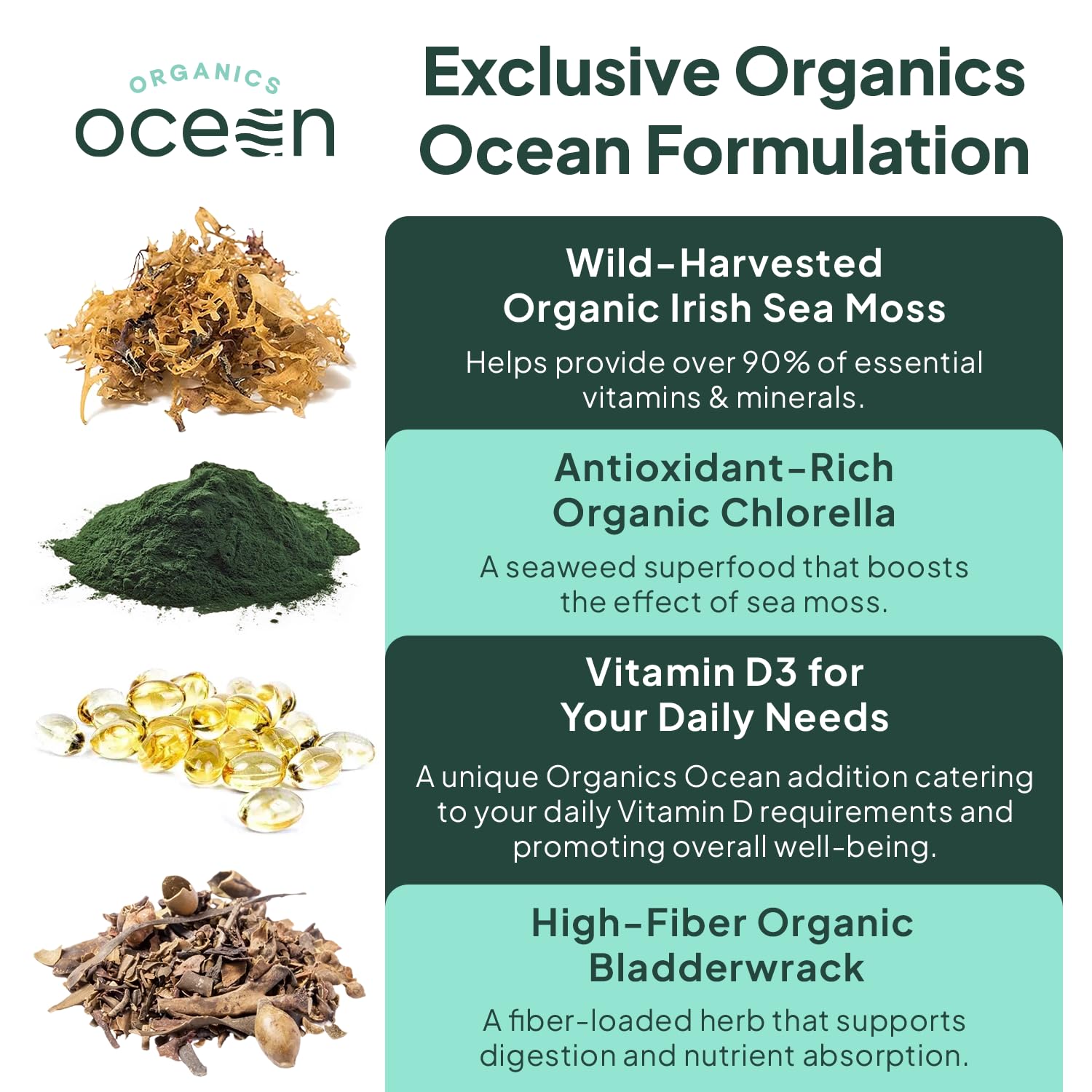 Organics Ocean Wild Sea Moss Capsules - 100% Organic Irish Sea Moss with Organic Chlorella, Bladderwrack and Vitamin D for Energy, Lung Health and Thyroid Support for Women and Men - 60 Capsules Organics Ocean uk supplements