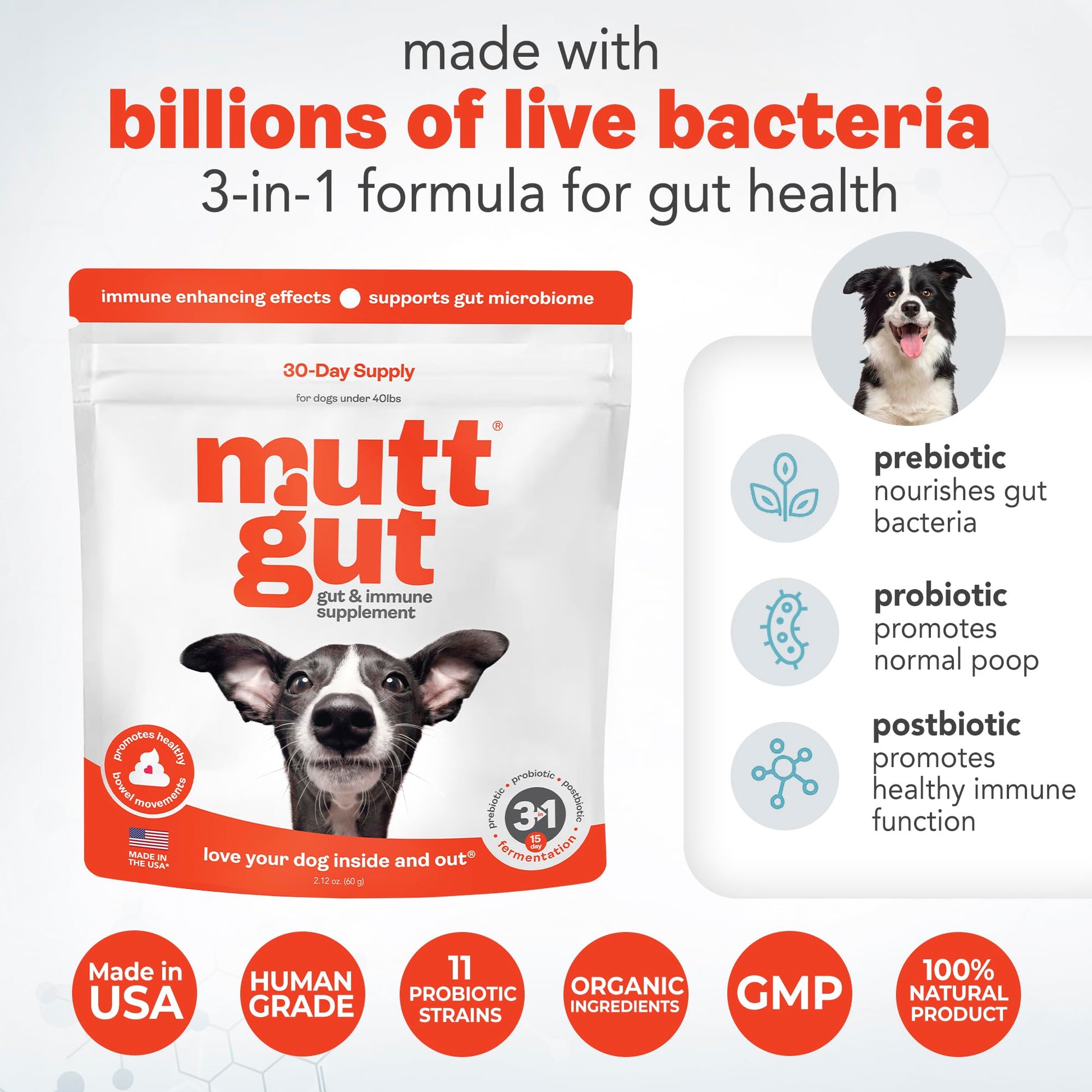 All-Natural 3-in-1 Dog Probiotic, Prebiotic, and Postbiotic Supplement Powder - Probiotics for Dogs with 135 Billion CFUs, Anti Diarrhea, Digestive Enzymes & Antioxidants (60g) MUTTGUT uk supplements