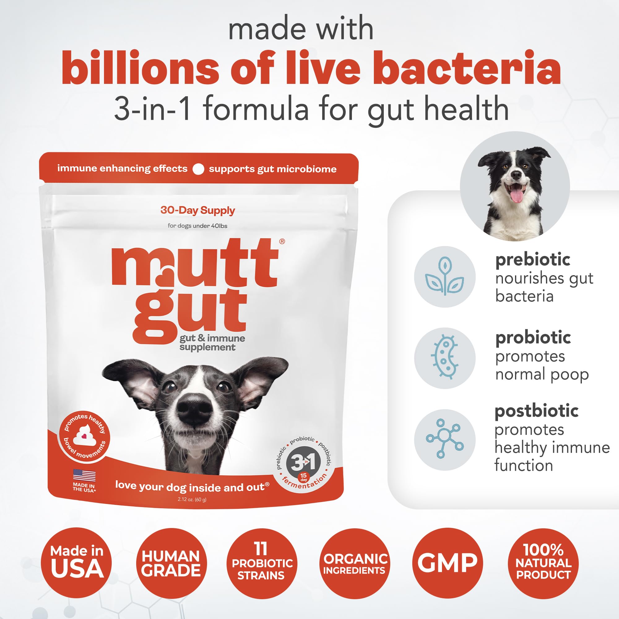 All-Natural 3-in-1 Dog Probiotic, Prebiotic, and Postbiotic Supplement Powder - Probiotics for Dogs with 135 Billion CFUs, Anti Diarrhea, Digestive Enzymes & Antioxidants (60g) MUTTGUT uk supplements