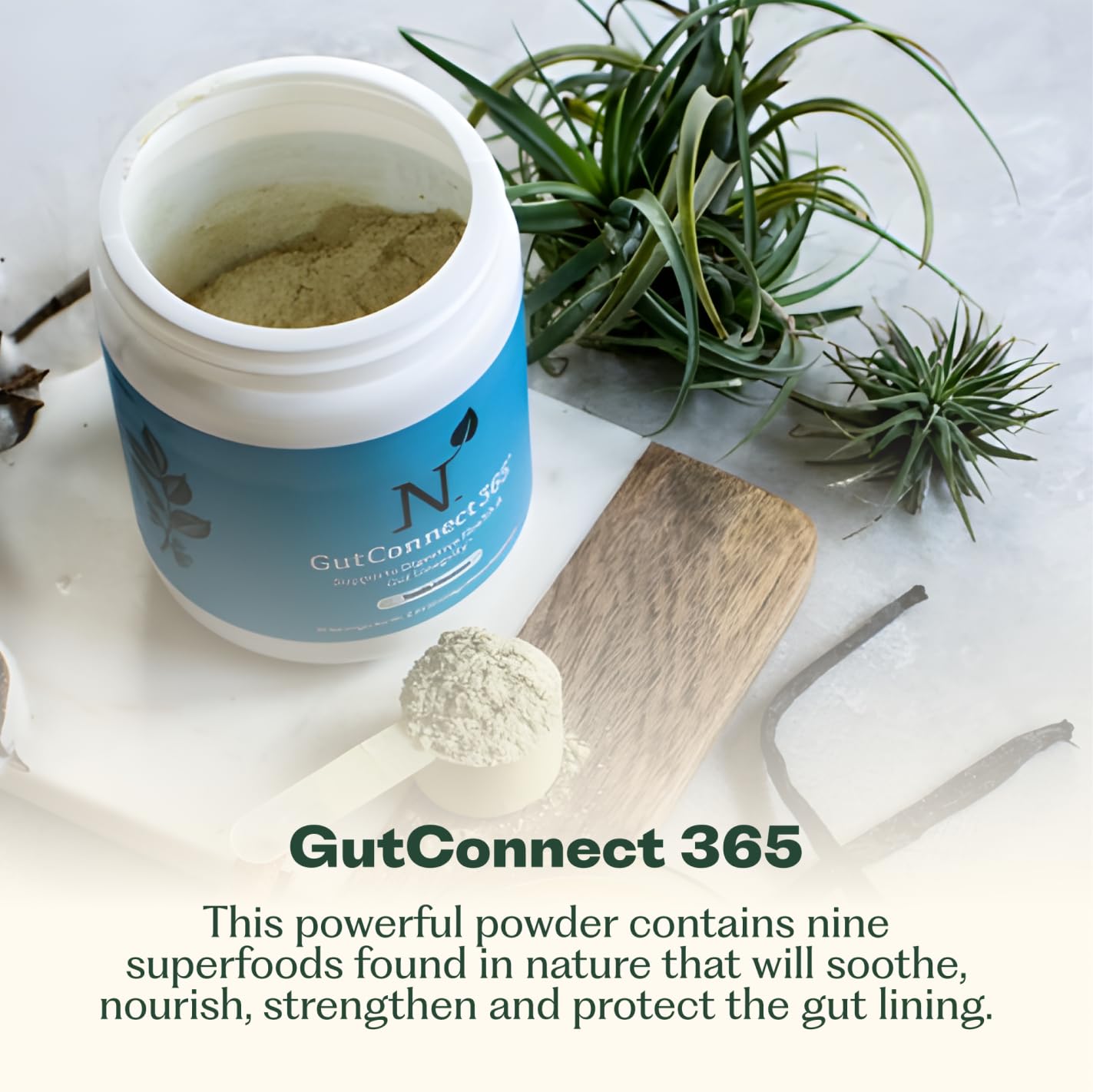 GutConnect 365 Gut Health Superfood Powder | Formulated With Slippery Elm Bark & L Glutamine | Vegan Certified | Allergen Free | Non-GMO | Soy Free | Made in the USA | 30 Servings – Vanilla Cinnamon Nature M.D. uk supplements