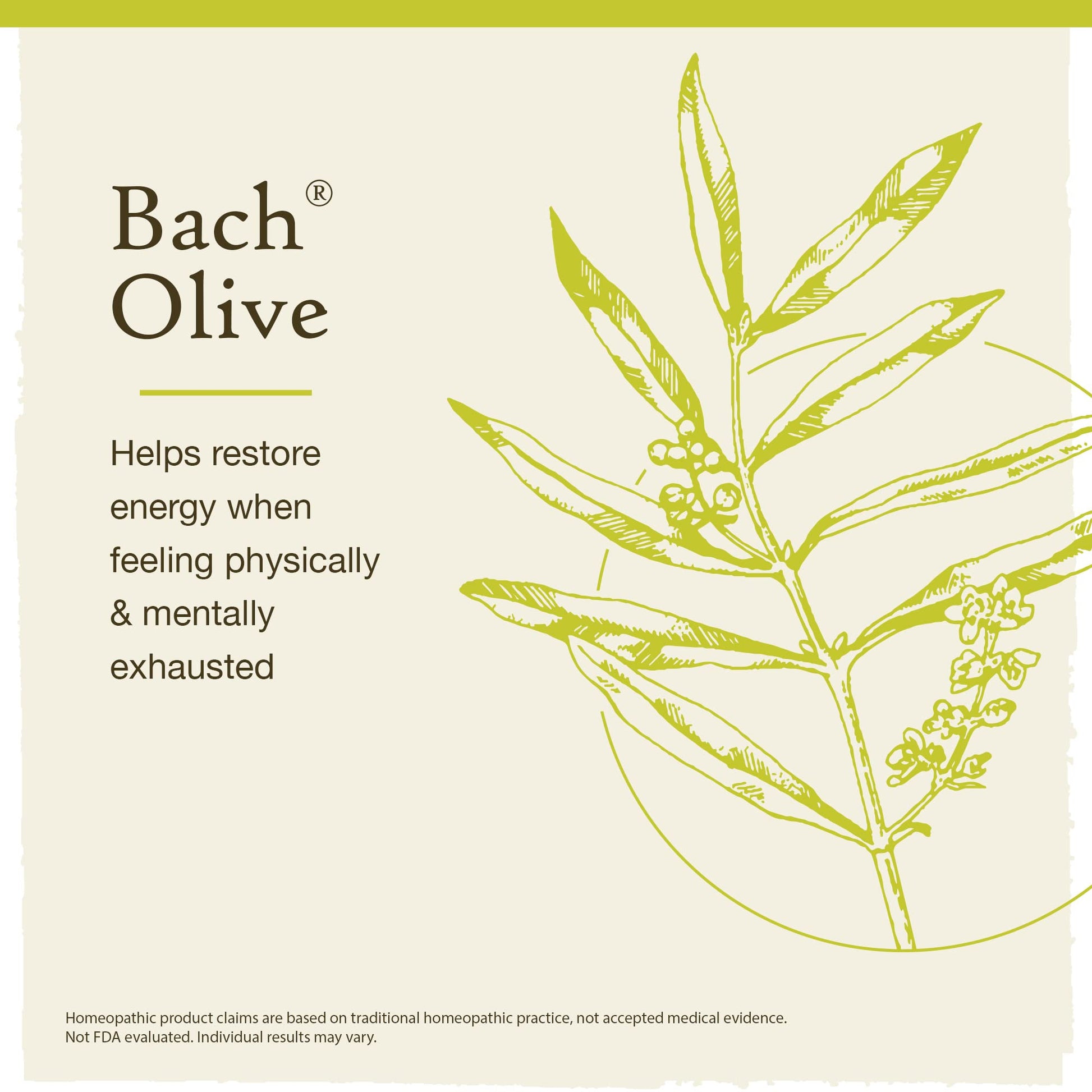 Bach Original Flower Remedies, Olive for Energy (Non-Alcohol Formula), Natural Homeopathic Flower Bach uk supplements
