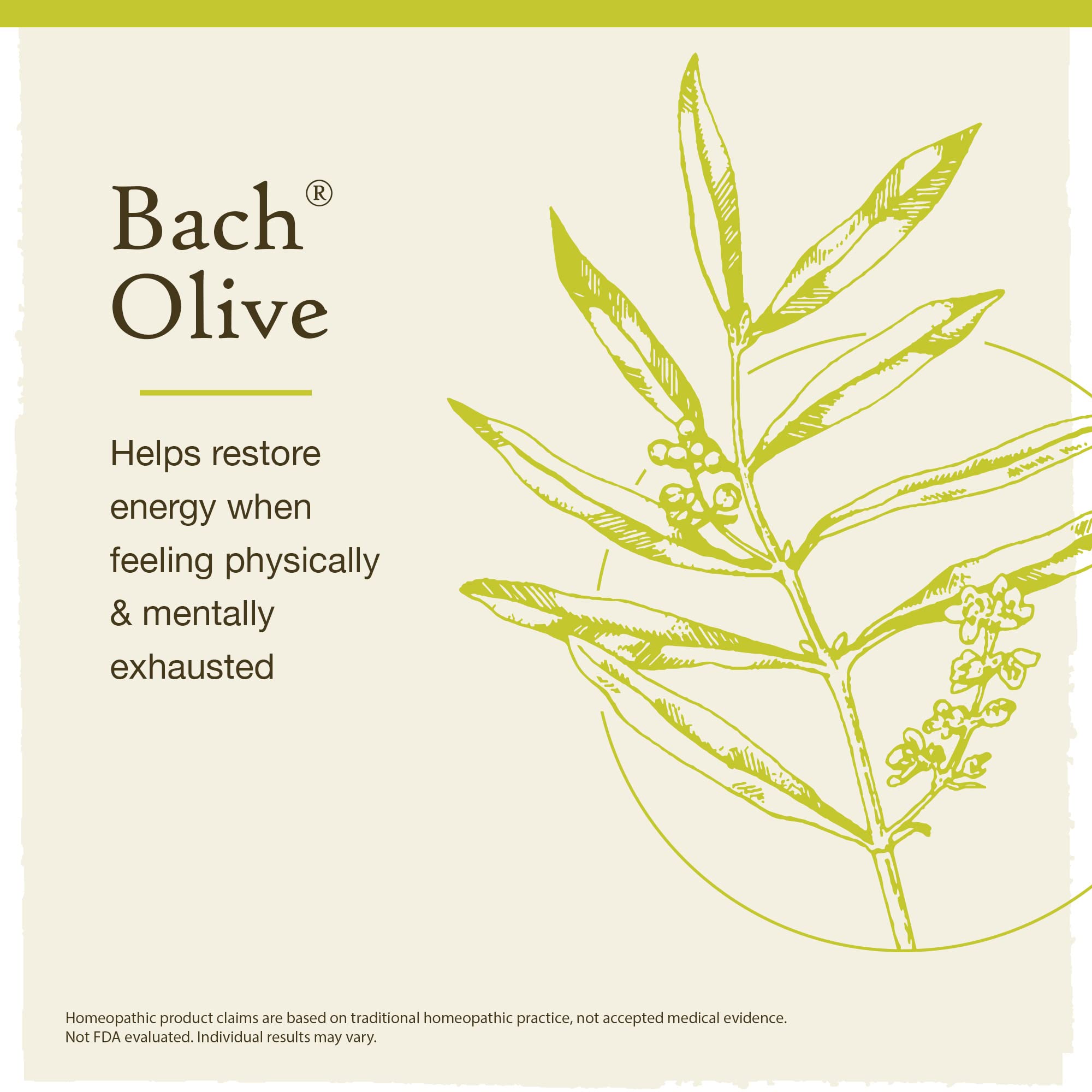 Bach Original Flower Remedies, Olive for Energy (Non-Alcohol Formula), Natural Homeopathic Flower Bach uk supplements