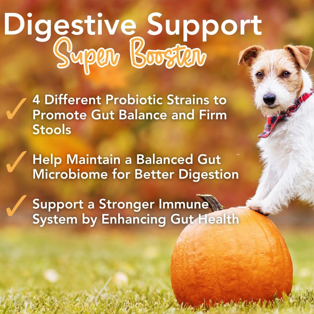 iHeartDogs Pupkin Probiotics, Prebiotics, Postbiotics, & Fiber for Dogs with Pumpkin, Gut Soothing Bone Broth & Mushrooms iHeartDogs uk supplements