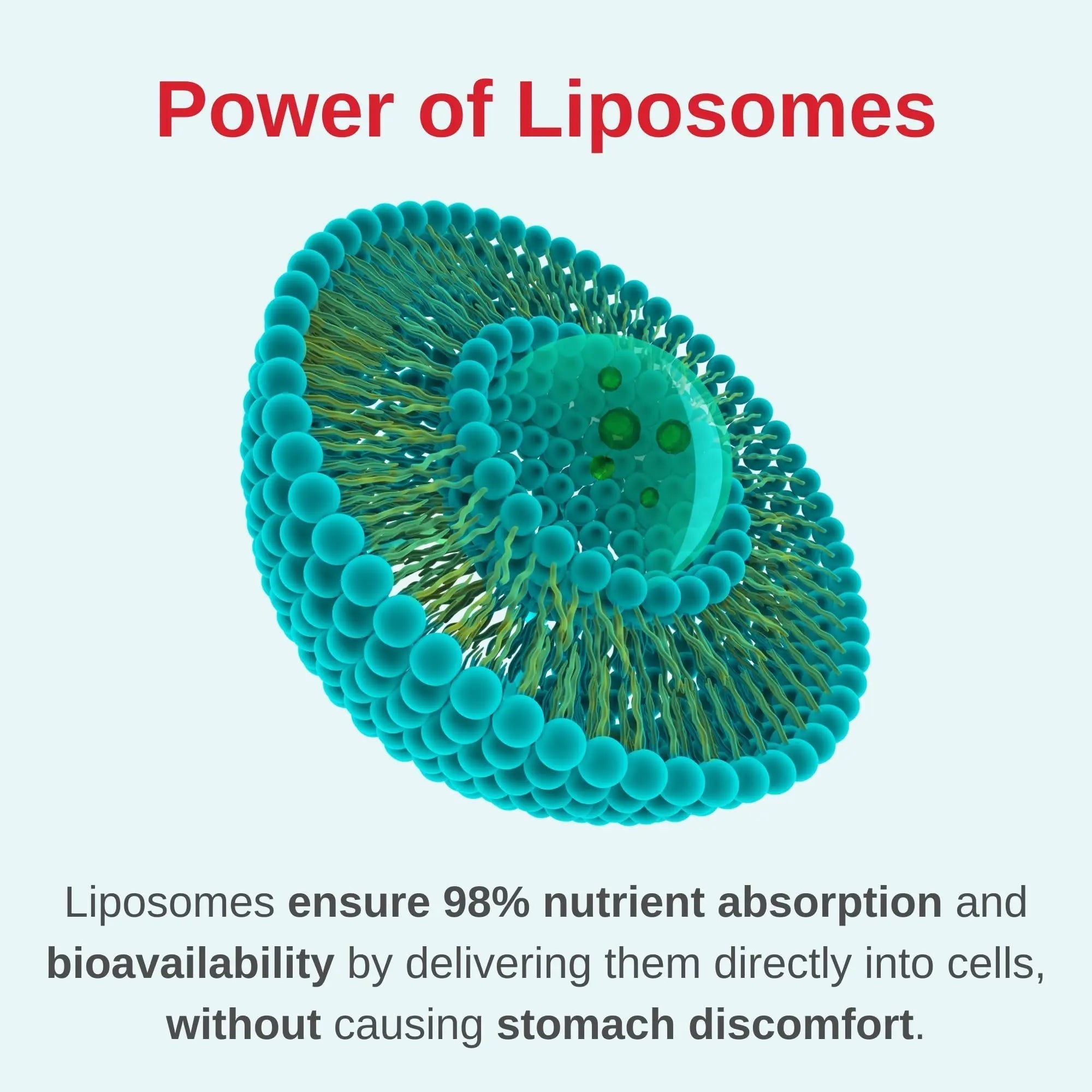 Vitaminally Liposomal Women's Liquid multivitamin Iron Free Drops| Sugar Free | Non-GMO | Gluten Free | Supports Immune System, Bone Health and Energy Metabolism Vitaminally uk supplements