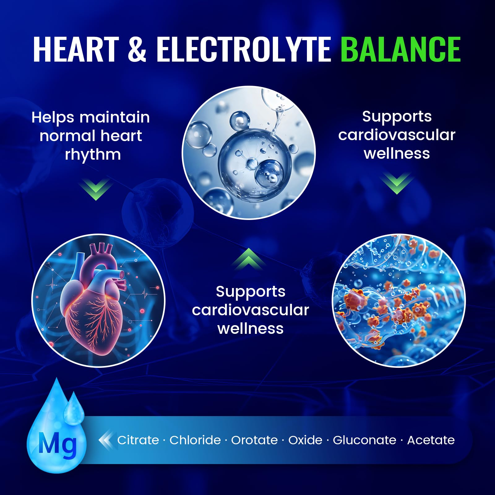 Magnesium Complex with 15 Types Magnesium Glycinate Citrate Malate Taurate Oxide Carbonate Chloride Orotate Magnesio Muscle, Heart, Relaxation & Nerves 120 Vegan Capsules, 60-Day Supply Ashenutri uk supplements
