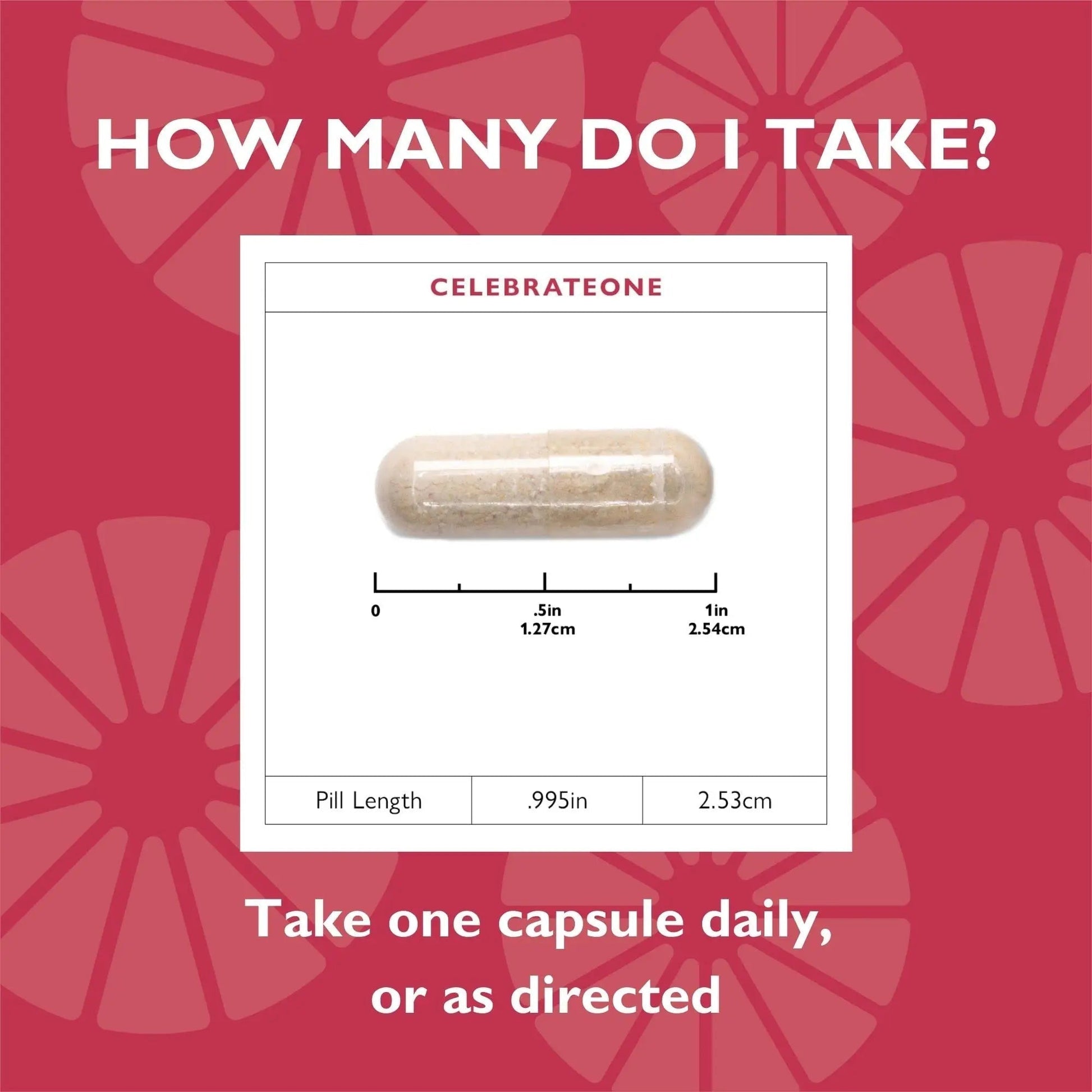 Celebrate Vitamins CelebrateONE, Iron Free - Once Daily Bariatric Multivitamin, Essential Vitamins & Minerals Celebrate Bariatric Supplements uk supplements