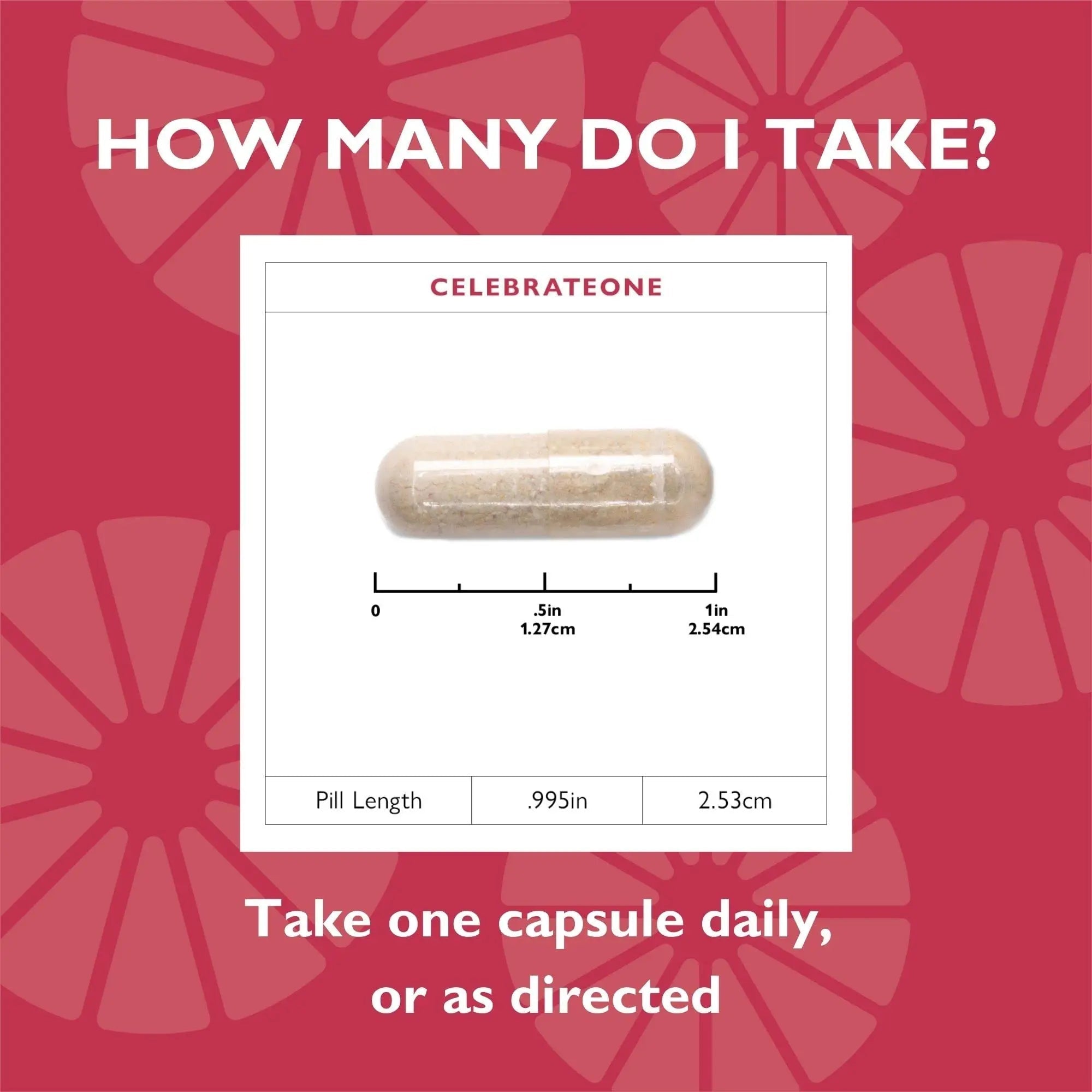 Celebrate Vitamins CelebrateONE, Iron Free - Once Daily Bariatric Multivitamin, Essential Vitamins & Minerals Celebrate Bariatric Supplements uk supplements