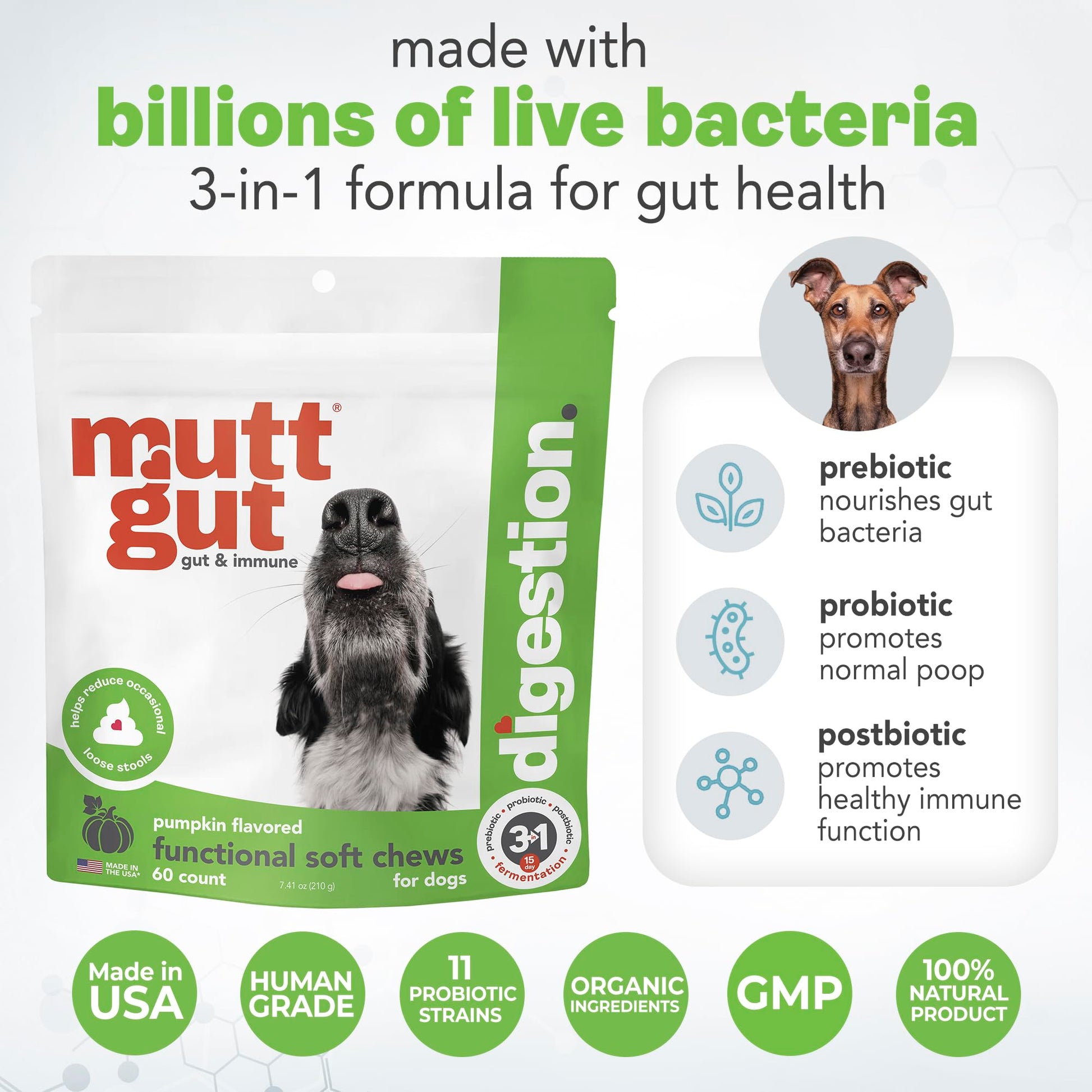 MuttGut® 3-in-1 Puppy & Dog Probiotics + Prebiotics + Postbiotics Chews - Promotes Digestive Health, Supports Immune System and Overall Health - Dog Diarrhea Relief & Immune Support - 60 Soft Chews MUTTGUT uk supplements