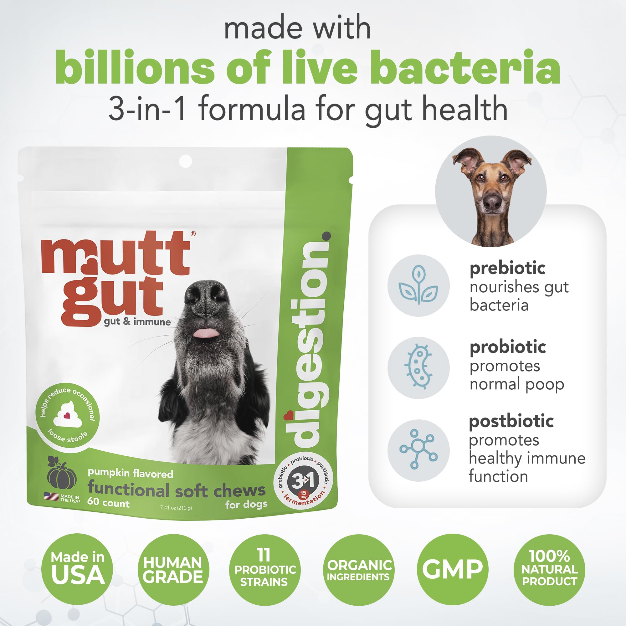MuttGut® 3-in-1 Puppy & Dog Probiotics + Prebiotics + Postbiotics Chews - Promotes Digestive Health, Supports Immune System and Overall Health - Dog Diarrhea Relief & Immune Support - 60 Soft Chews MUTTGUT uk supplements