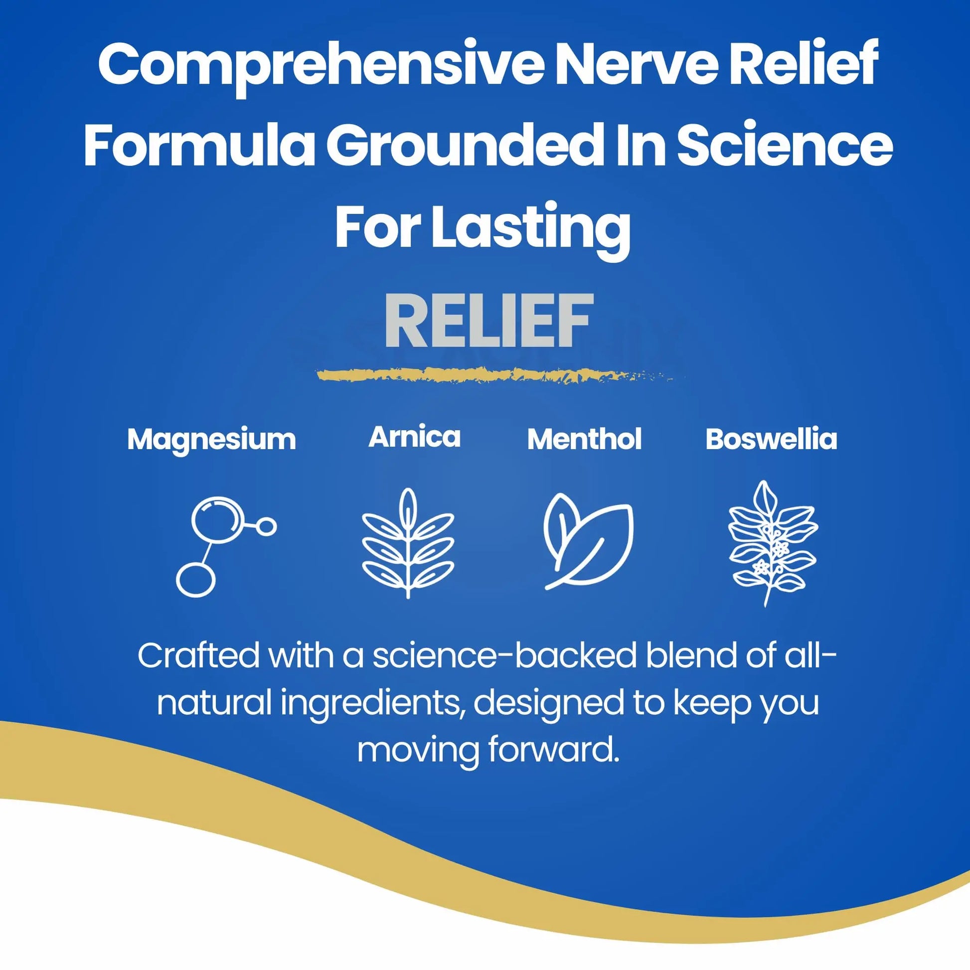 Seagenix Nerve Relief Muscle Foam - Nerve Spray Magnesium - Arnica - Boswellia - Menthol Formula - Nerve and Muscle Relief – Fast-Acting with Magnesium Sulfate - 150 ml - 1 Count Seagenix uk supplements