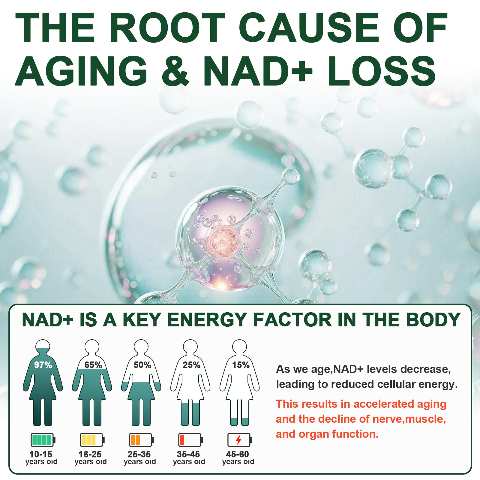 Vikaywoo NAD Supplement 1585 Mg -True NAD & Resveratrol, NMN Alternative Liposomal NAD+ for Women & Men, Support Cellular Health, Stamina & Healthy Aging - 120 Capsules Vikaywoo uk supplements