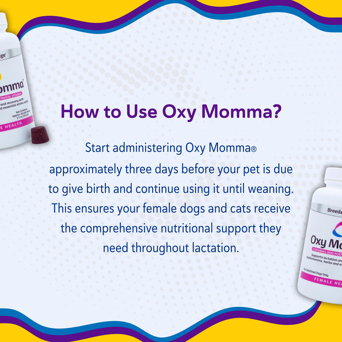 Breeder's Edge Oxy Momma Soft Chews, Postnatal Vitamin Supplement for Lactating Dogs and Cats, Supports Recovery, Hormones, and Next Pregnancy - for Small Dogs & Cats, 40ct Soft Chews Revival Animal Health uk supplements