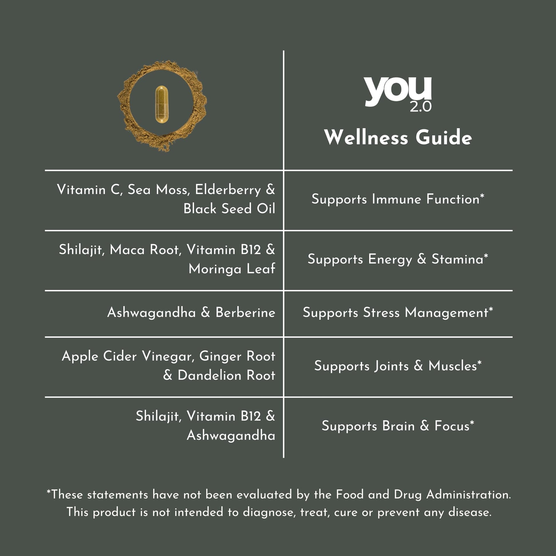 YOU 2.0 Powerhouse Superfood with Seamoss, Shilajit, Ashwagandha, Berberine, Maca, Black Seed Oil, Turmeric, Vitamin C, D, B12, K2 - Moringa, Apple Cider, Made in USA for Overall Health & Immunity YOU 2.0 uk supplements