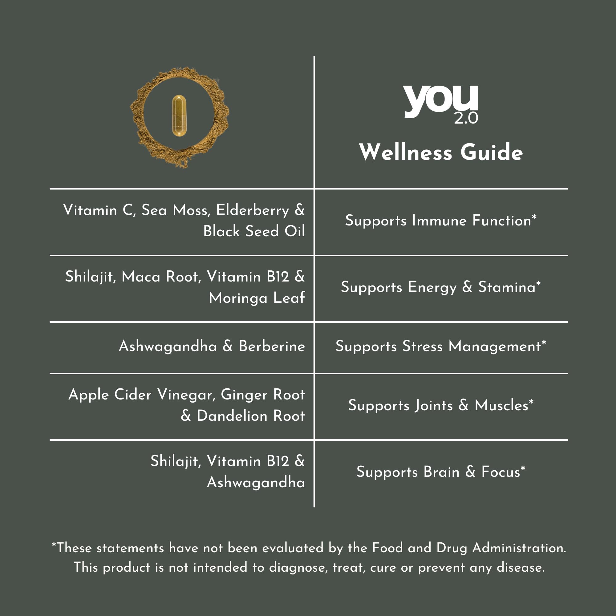 YOU 2.0 Powerhouse Superfood with Seamoss, Shilajit, Ashwagandha, Berberine, Maca, Black Seed Oil, Turmeric, Vitamin C, D, B12, K2 - Moringa, Apple Cider, Made in USA for Overall Health & Immunity YOU 2.0 uk supplements