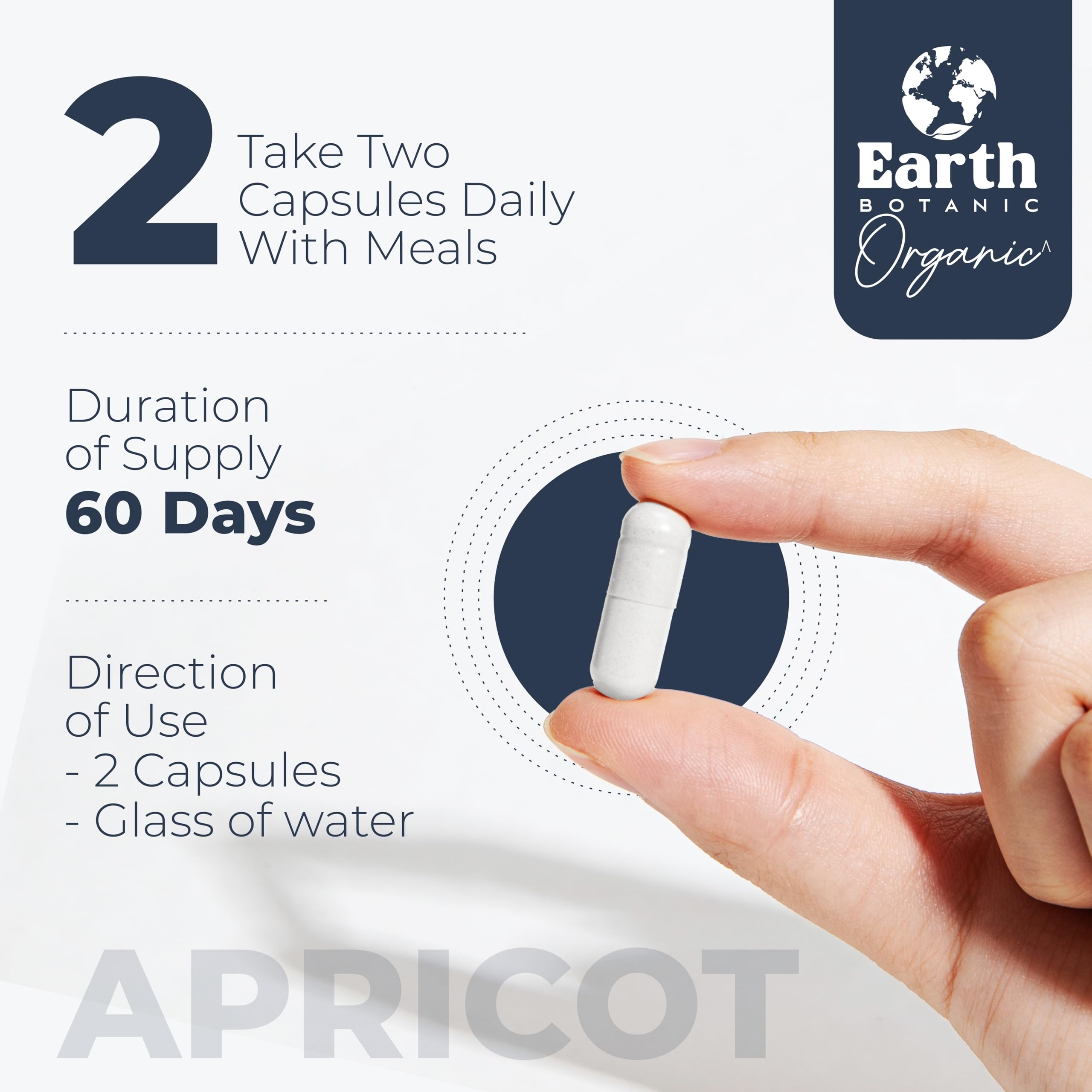 Earth BOTANIC Organic Apricot Extract, 1000 mg 120 Veggie Capsules (Vegan, Non-GMO) Herbal Supplements Earth BOTANIC Organic uk supplements