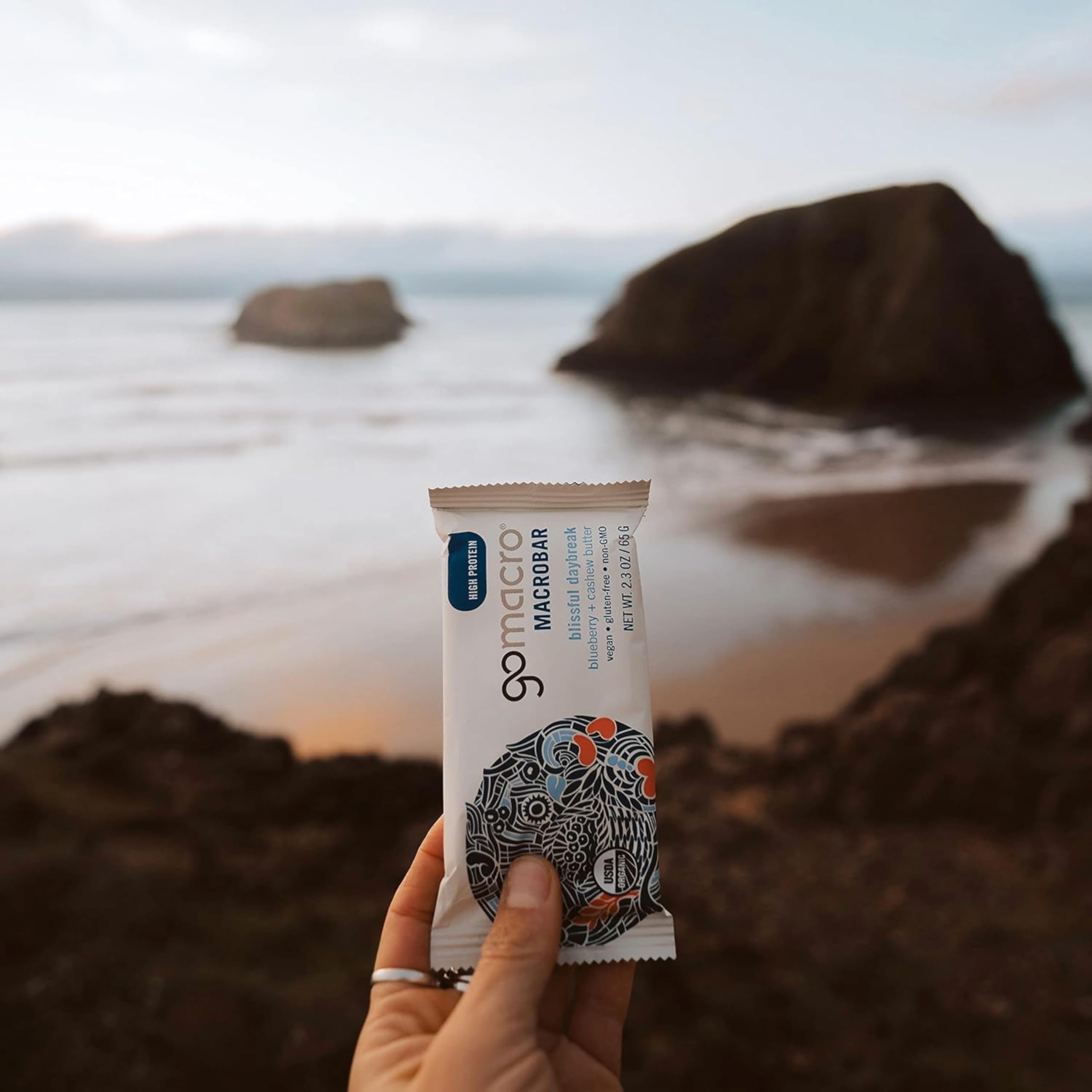 GoMacro Macrobar Organic Vegan Protein Bars - Blueberry + Cashew Butter , 2.3 Ounce GoMacro uk supplements