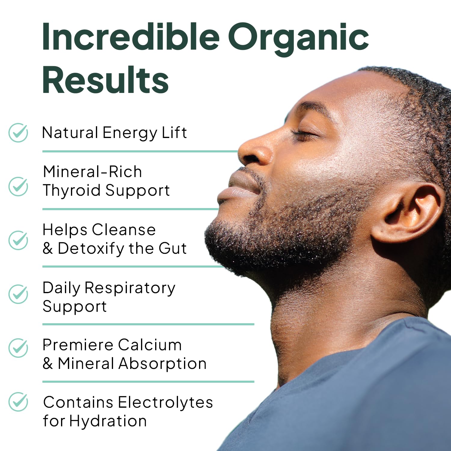 Organics Ocean Wild Sea Moss Capsules - 100% Organic Irish Sea Moss with Organic Chlorella, Bladderwrack and Vitamin D for Energy, Lung Health and Thyroid Support for Women and Men - 60 Capsules Organics Ocean uk supplements