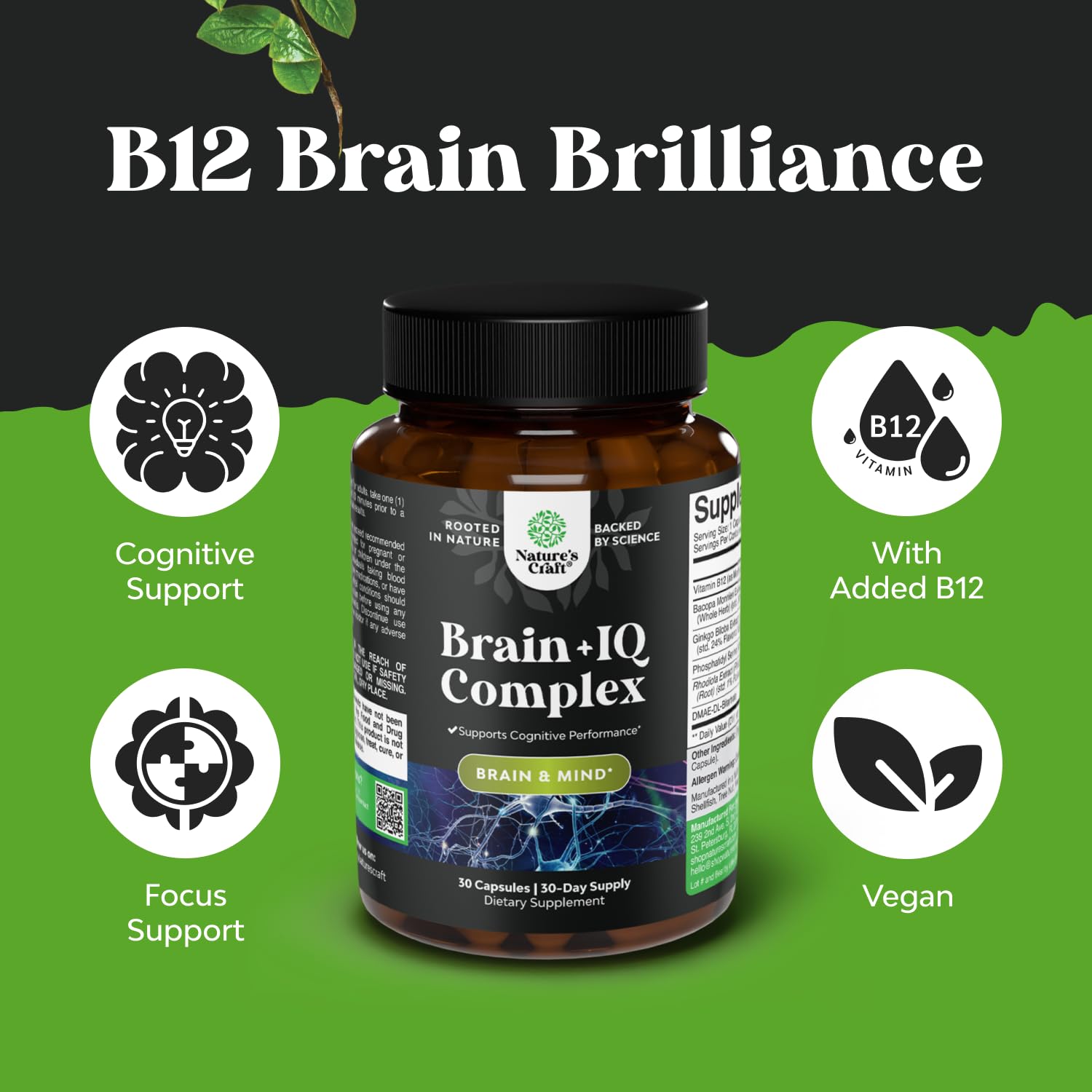 Nootropic Memory Supplement for Brain Support - Memory Pills for Brain Boost and Natural Energy Booster - Vitamin B 12 Bacopa Monnieri Rhodiola Rosea DMAE Ginkgo Biloba Phosphatidylserine Supplement Natures Craft uk supplements