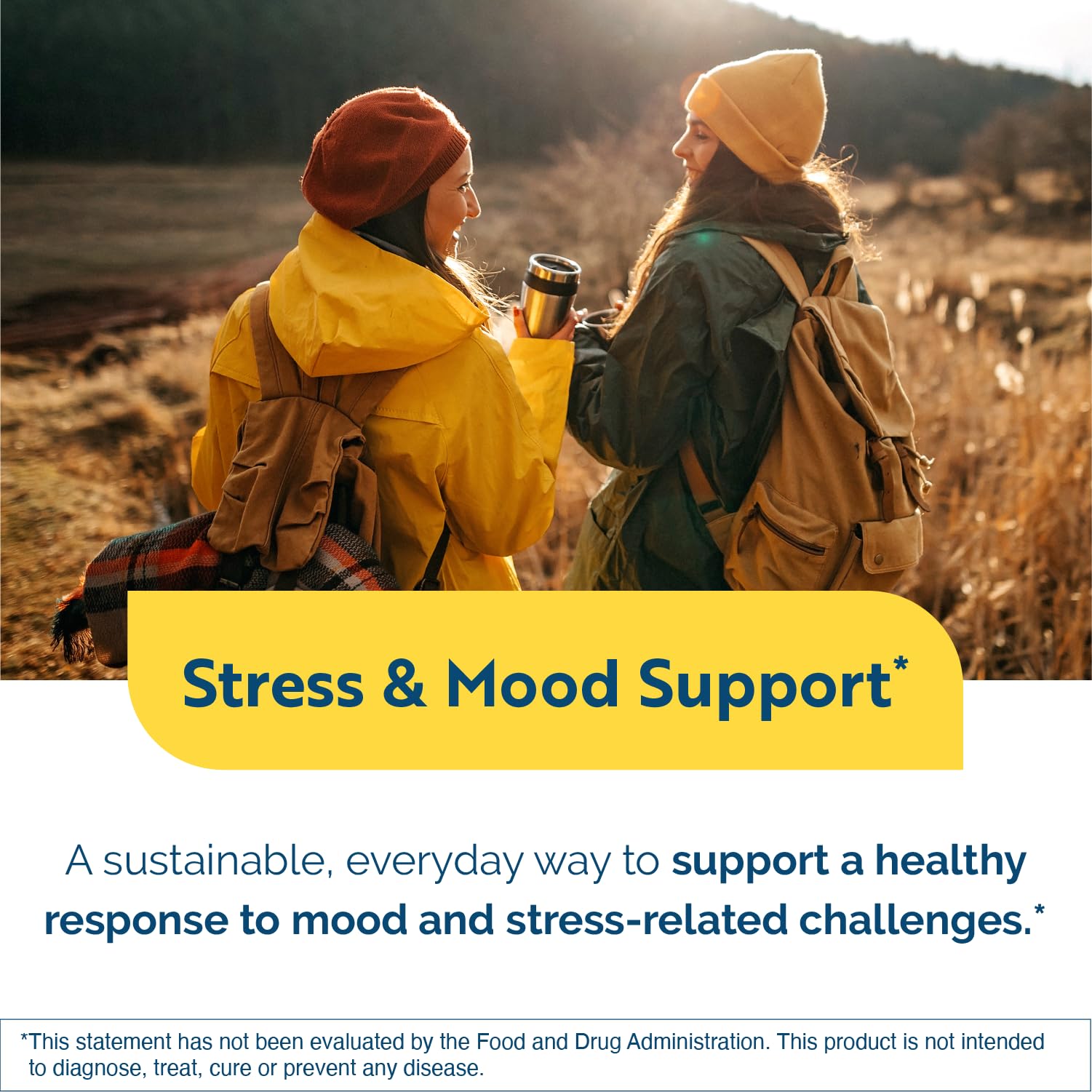 Researched Nutritionals AnxiaEase - Stress, Cortisol Management & Mood Support Supplement - Botanicals, Vitamin B6, Magnesium & 'Psychobiotic' Probiotic Strains (120 Capsules) Researched Nutritionals uk supplements